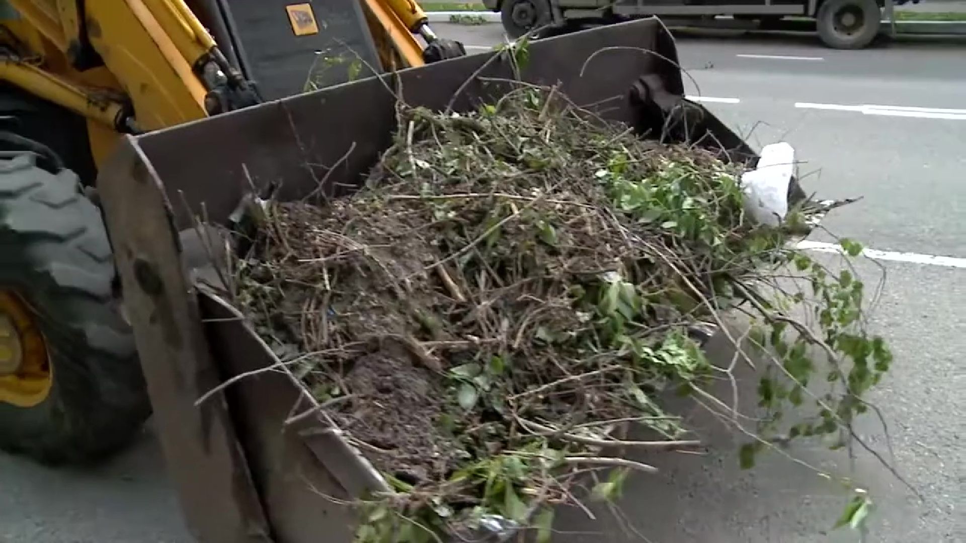 Реутов, непогода, дожди, деревья