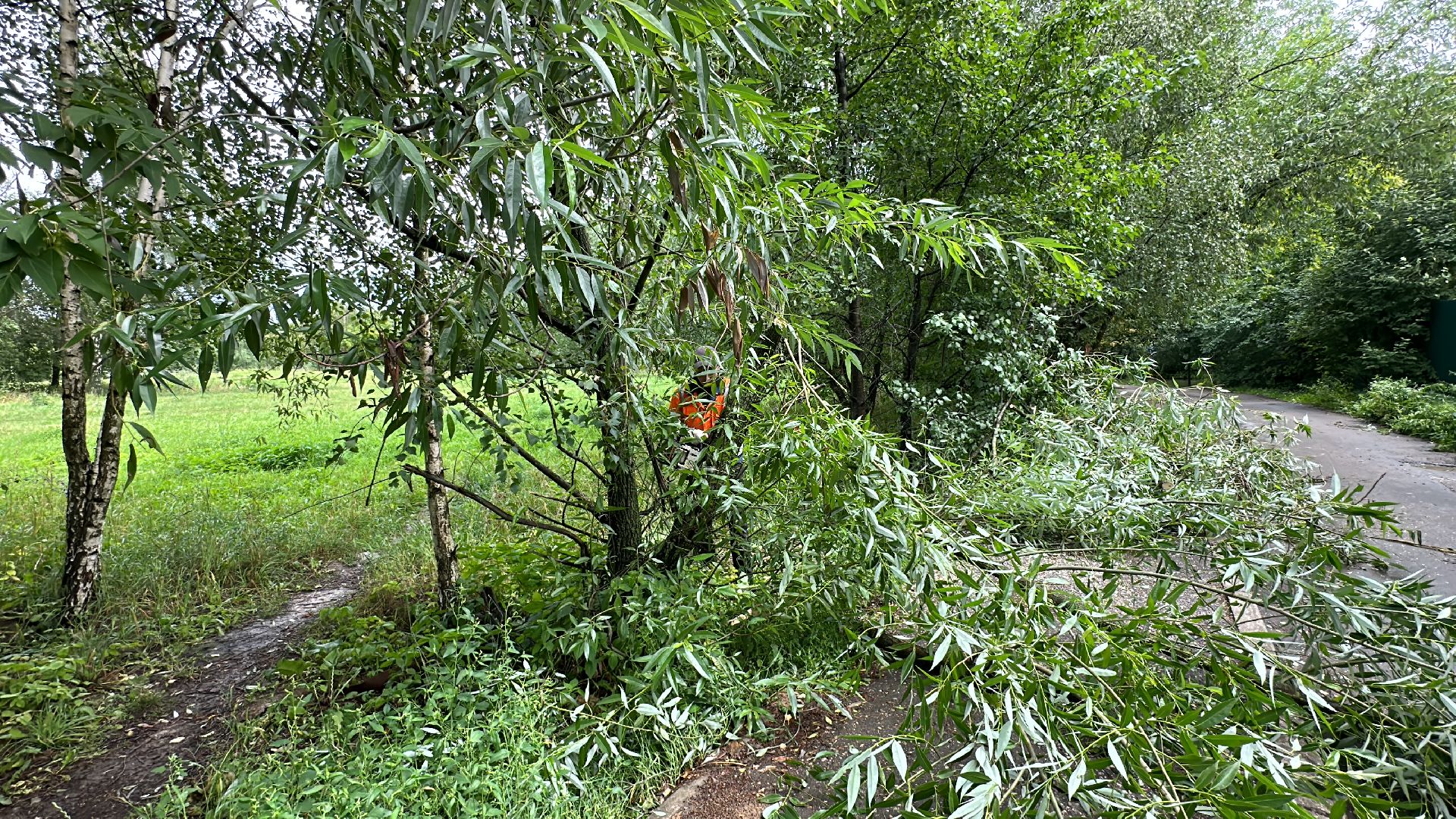 Одинцово, Губкино, Авария, Непогода