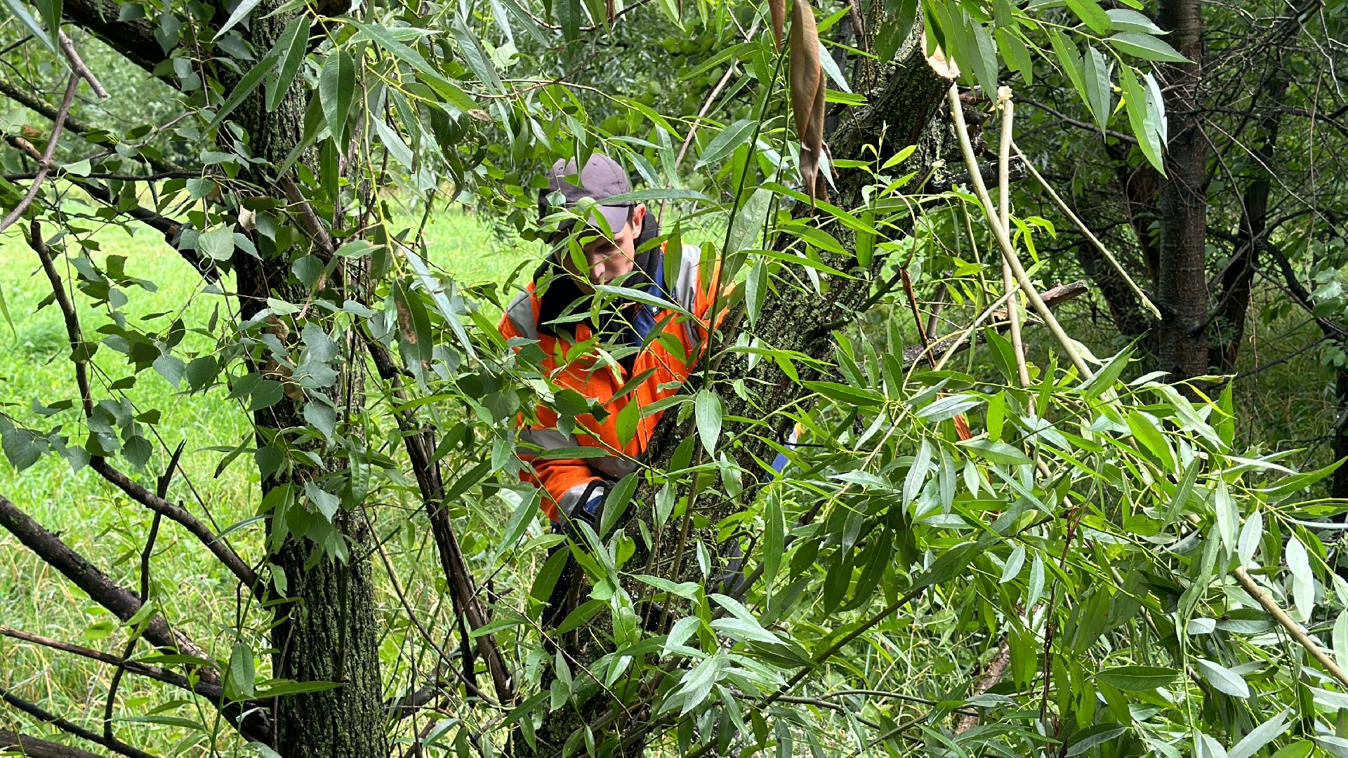 Одинцово, Губкино, Авария, Непогода