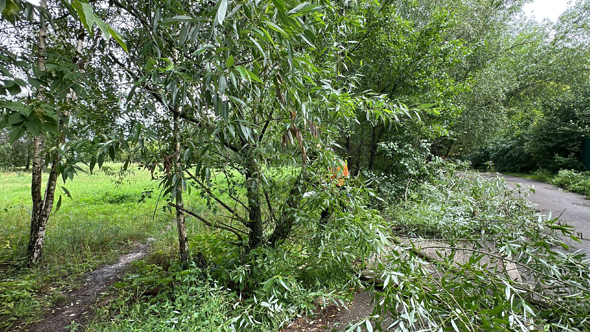 Одинцово, Губкино, Авария, Непогода