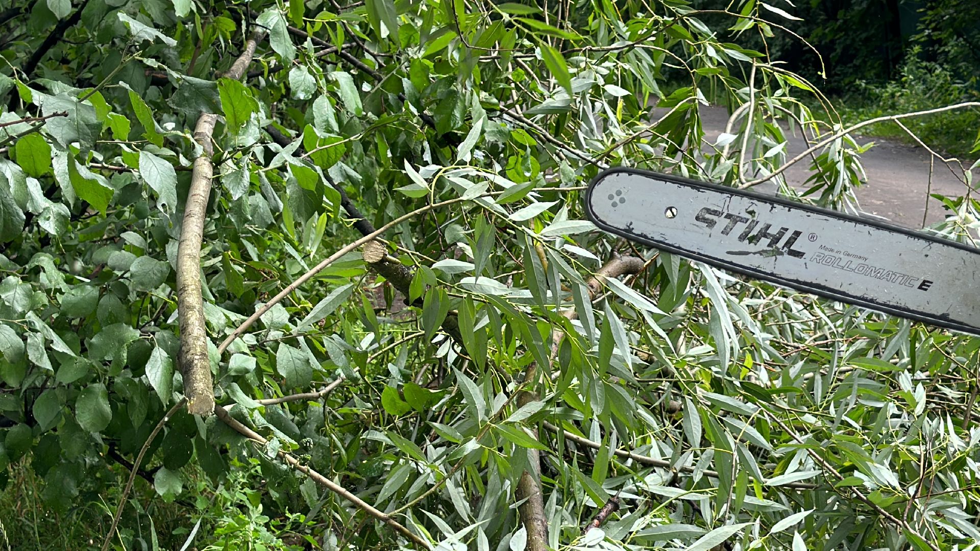 Одинцово, Губкино, Авария, Непогода