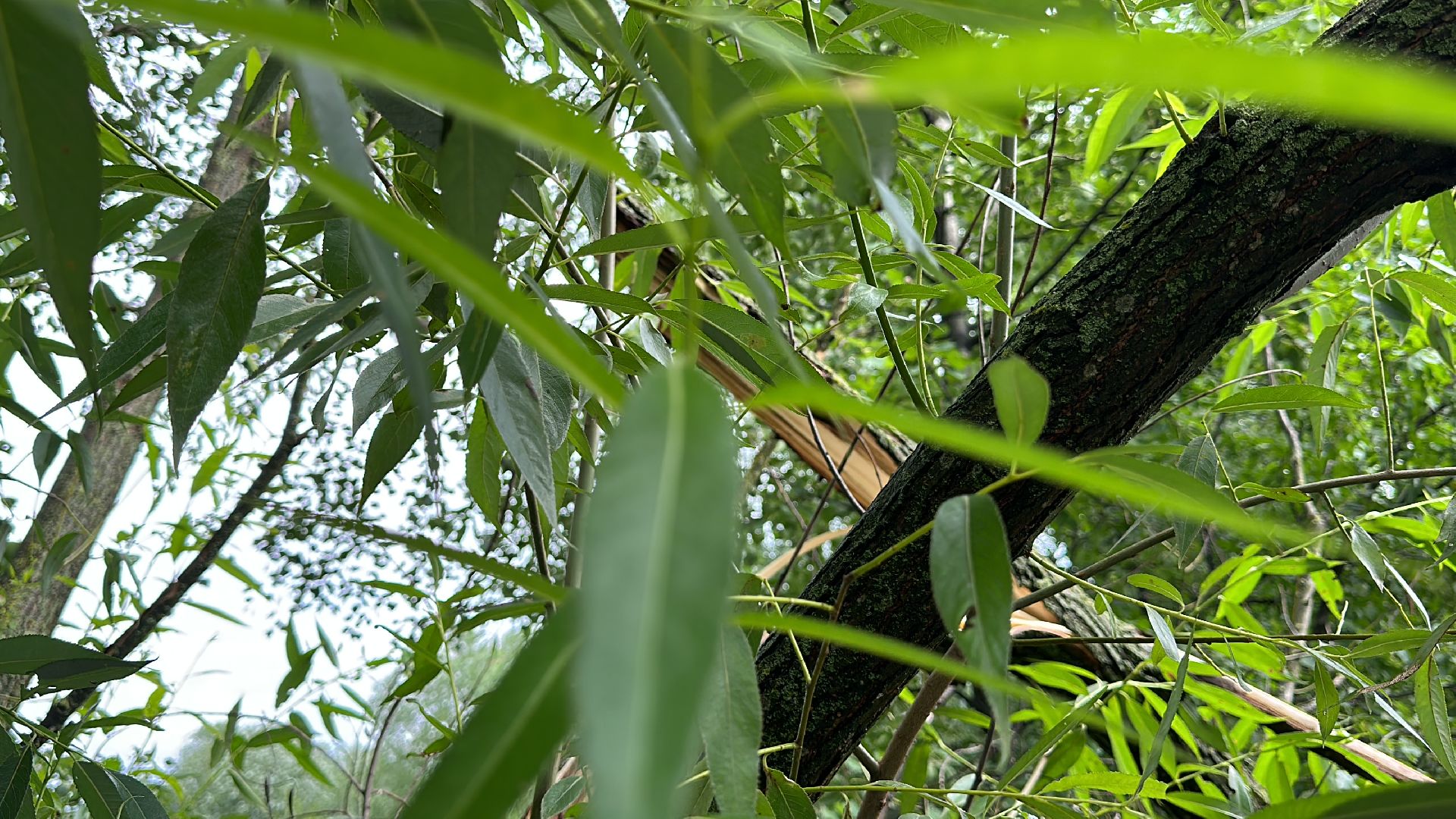 Одинцово, Губкино, Авария, Непогода