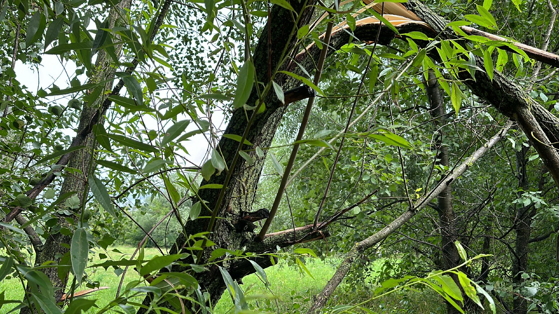 Одинцово, Губкино, Авария, Непогода