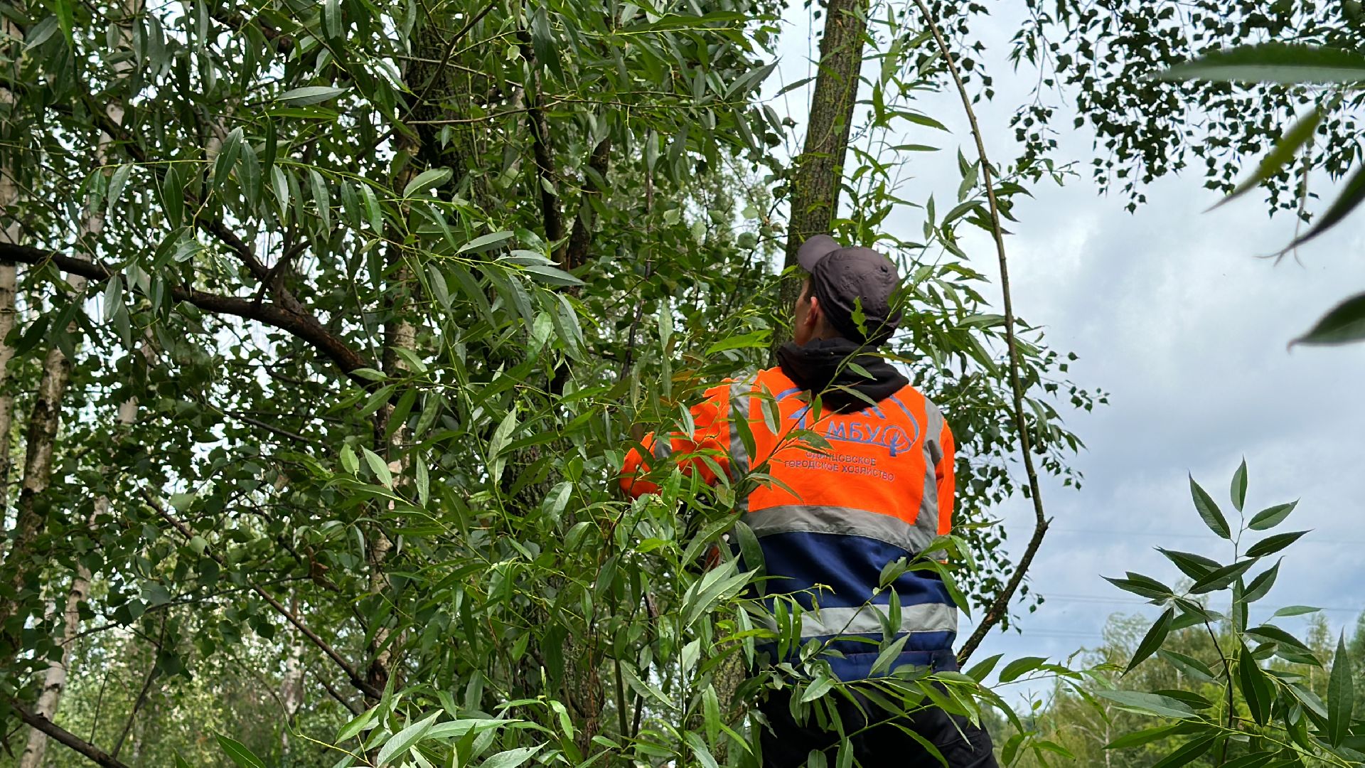 Одинцово, Губкино, Авария, Непогода