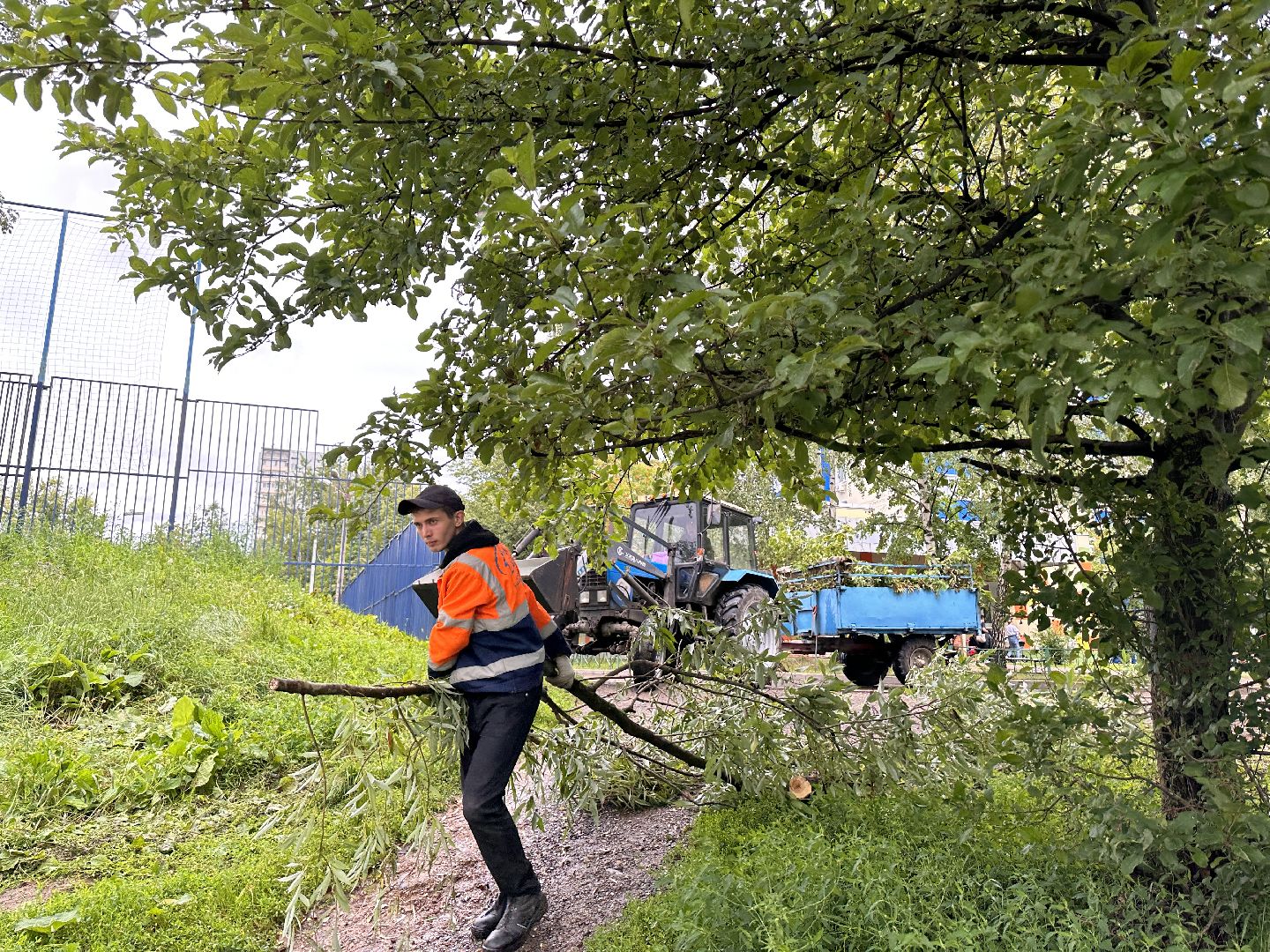 Одинцово, Ураган, Благоустройство, Стихия