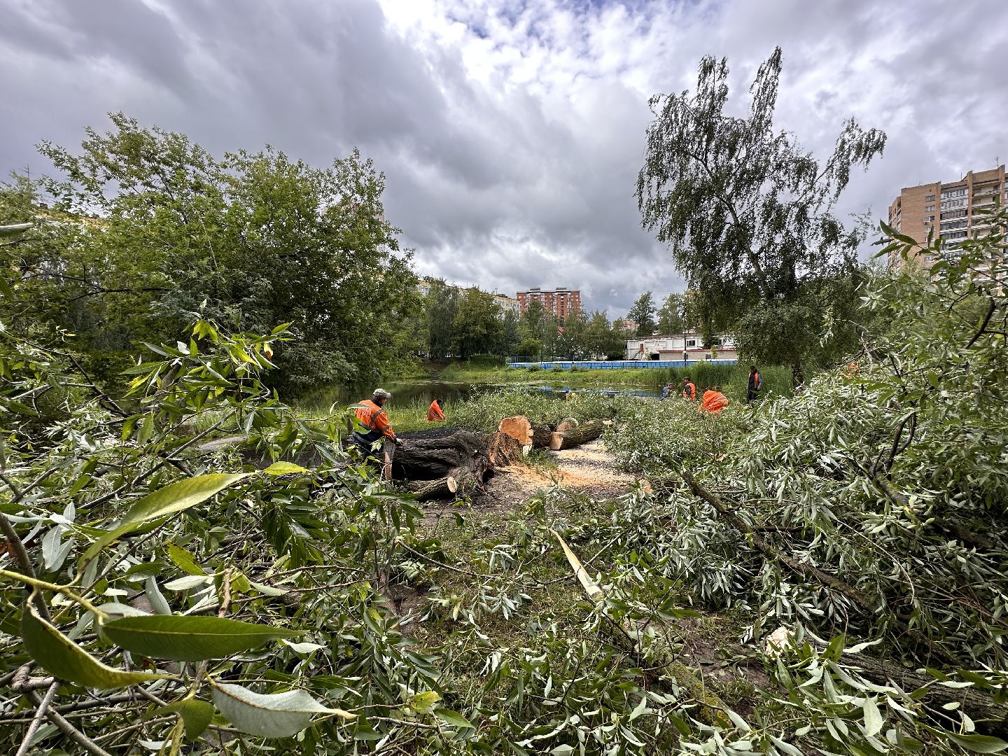 Одинцово, Ураган, Благоустройство, Стихия