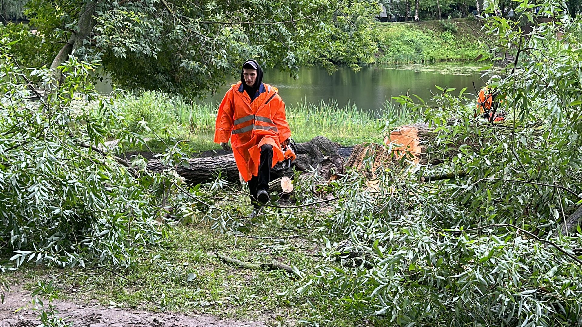 Одинцово, Ураган, Благоустройство, Стихия