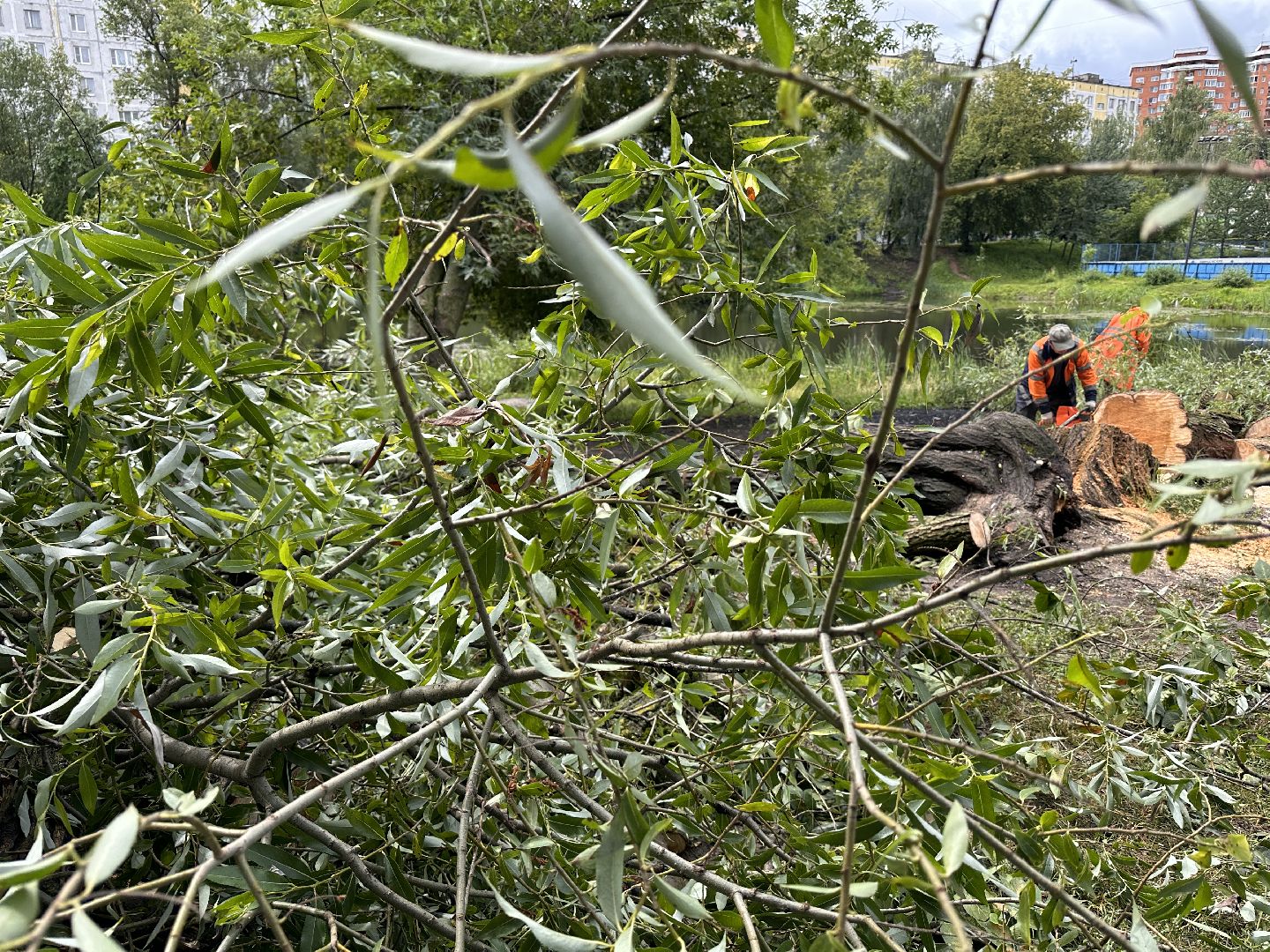 Одинцово, Ураган, Благоустройство, Стихия