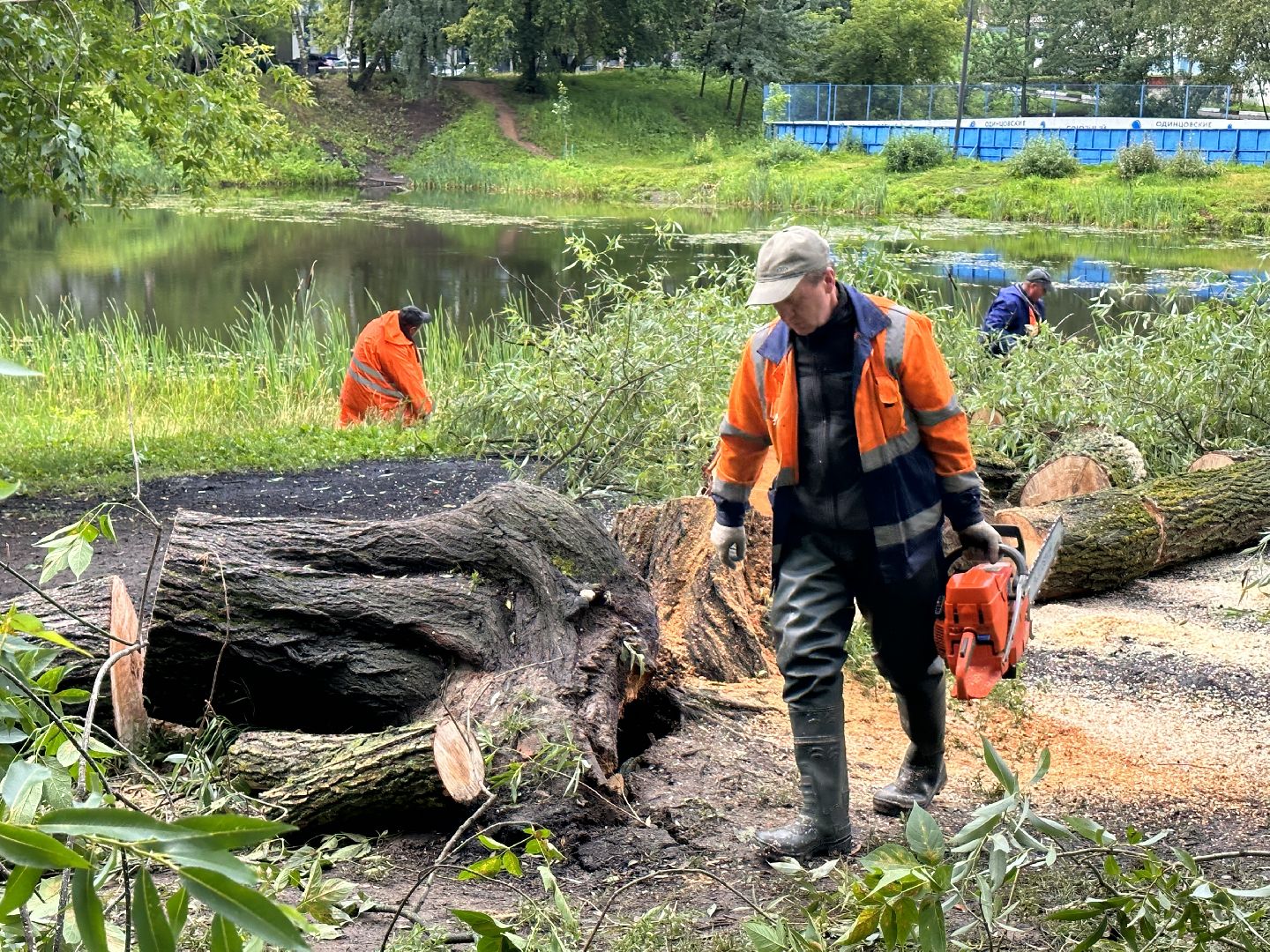 Одинцово, Ураган, Благоустройство, Стихия
