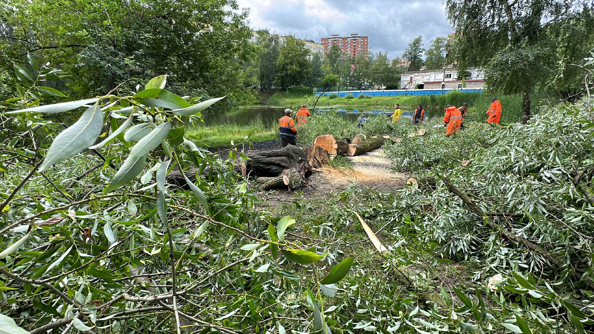 Одинцово, Ураган, Благоустройство, Стихия