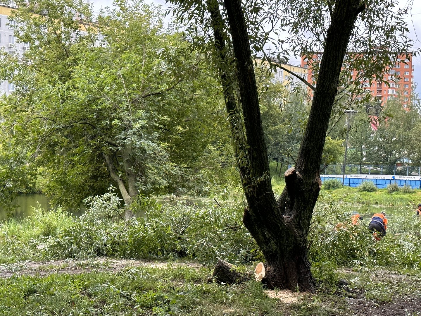 Одинцово, Ураган, Благоустройство, Стихия