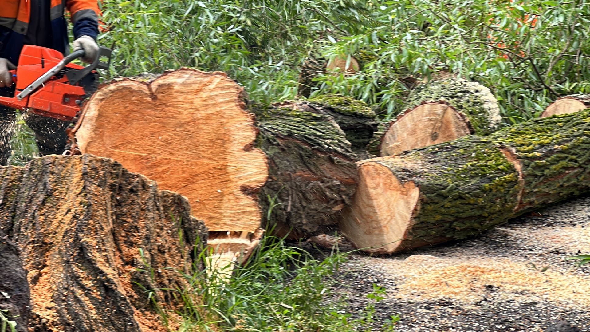Одинцово, Ураган, Благоустройство, Стихия