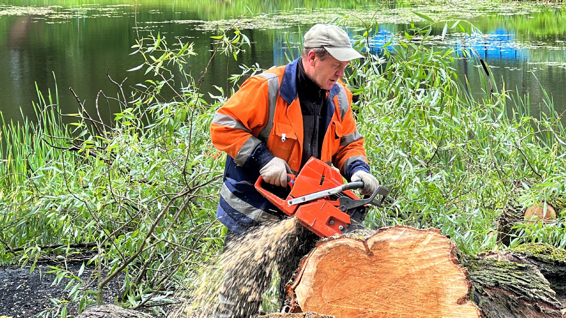 Одинцово, Ураган, Благоустройство, Стихия
