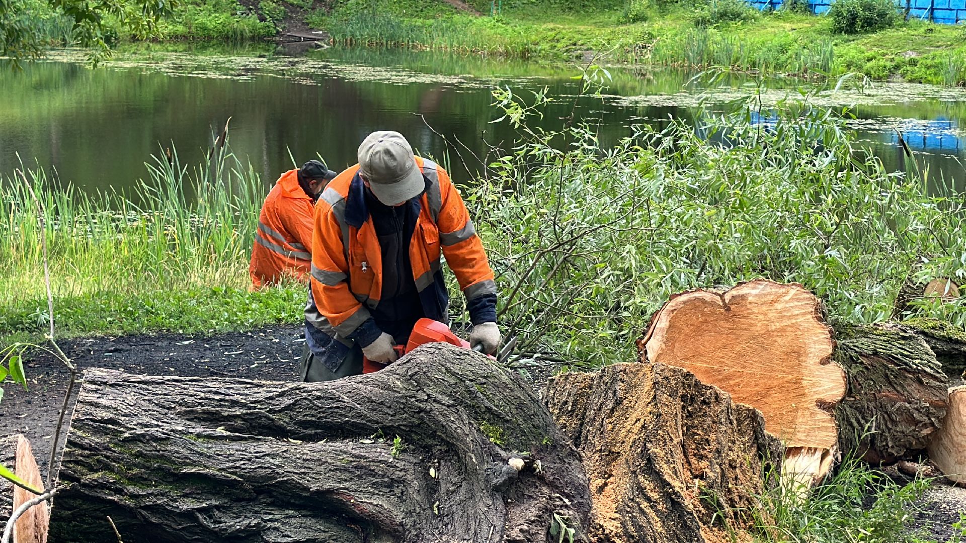 Одинцово, Ураган, Благоустройство, Стихия