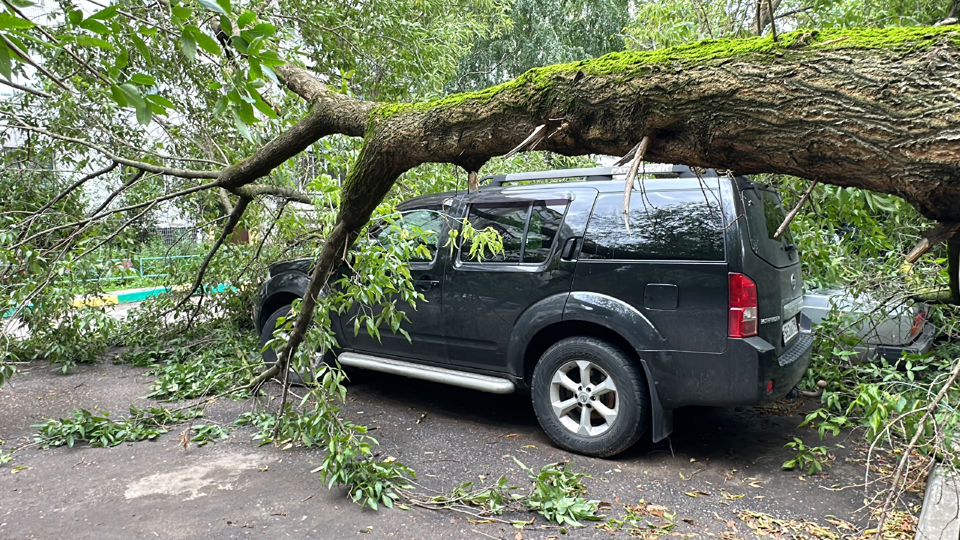 Одинцово, Ураган, Благоустройство