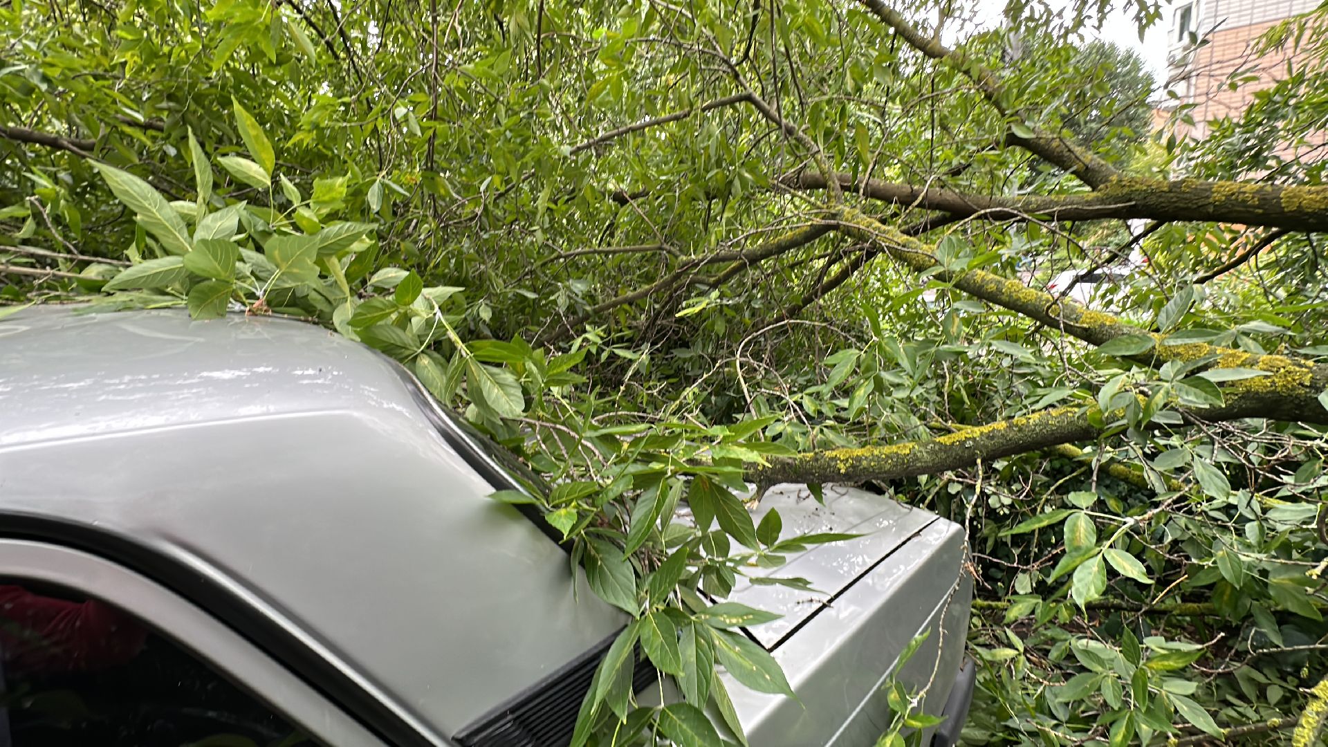 Одинцово, Ураган, Благоустройство