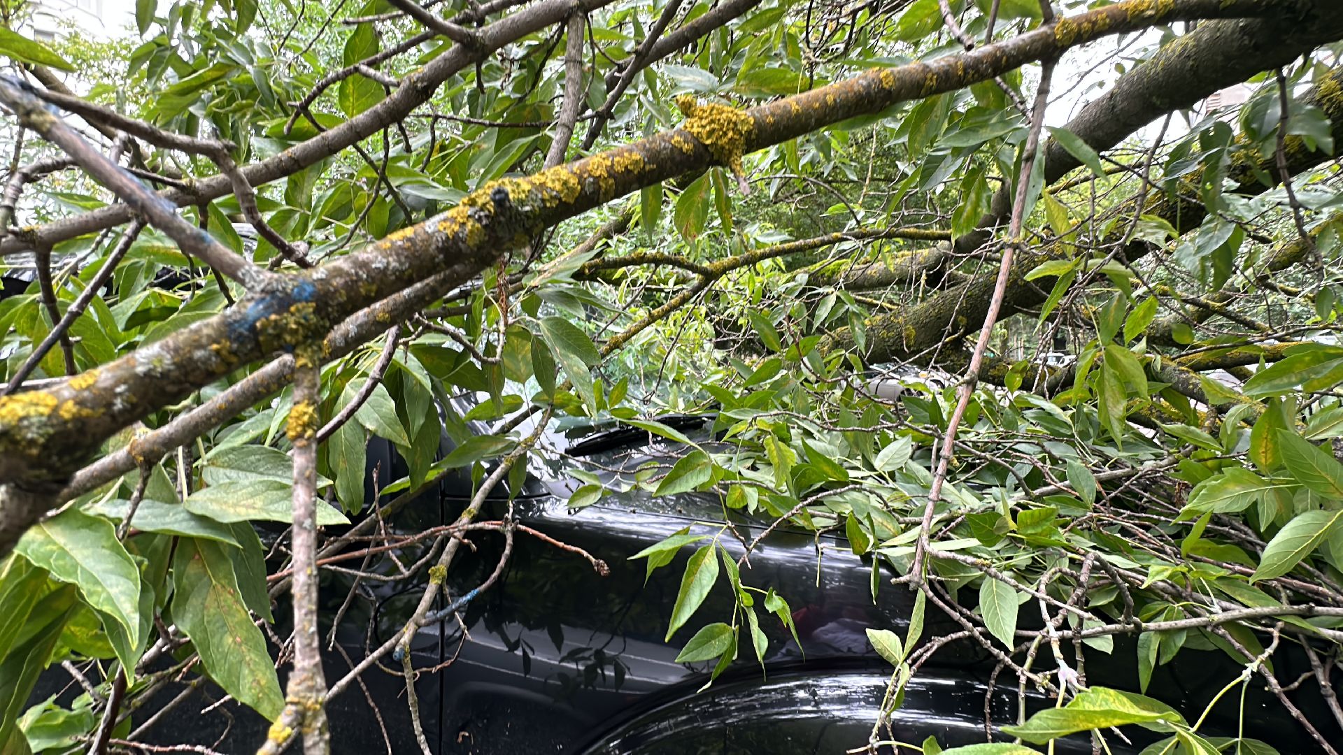 Одинцово, Ураган, Благоустройство