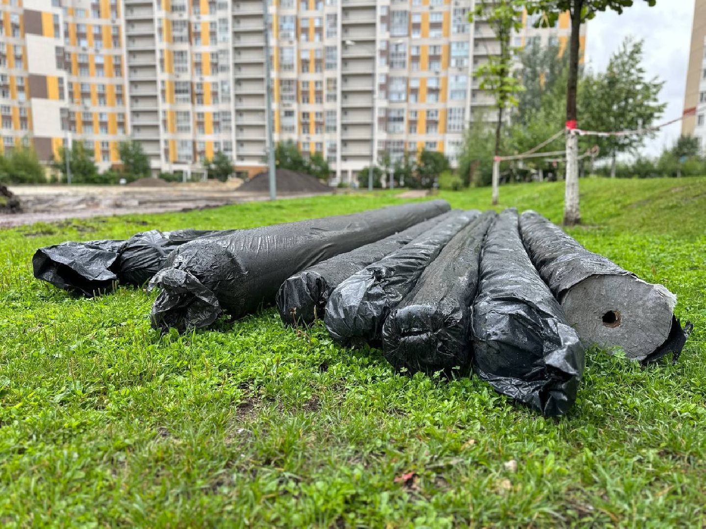 Реутов, образование, спорт, стадион, ремонт, программа губернатора