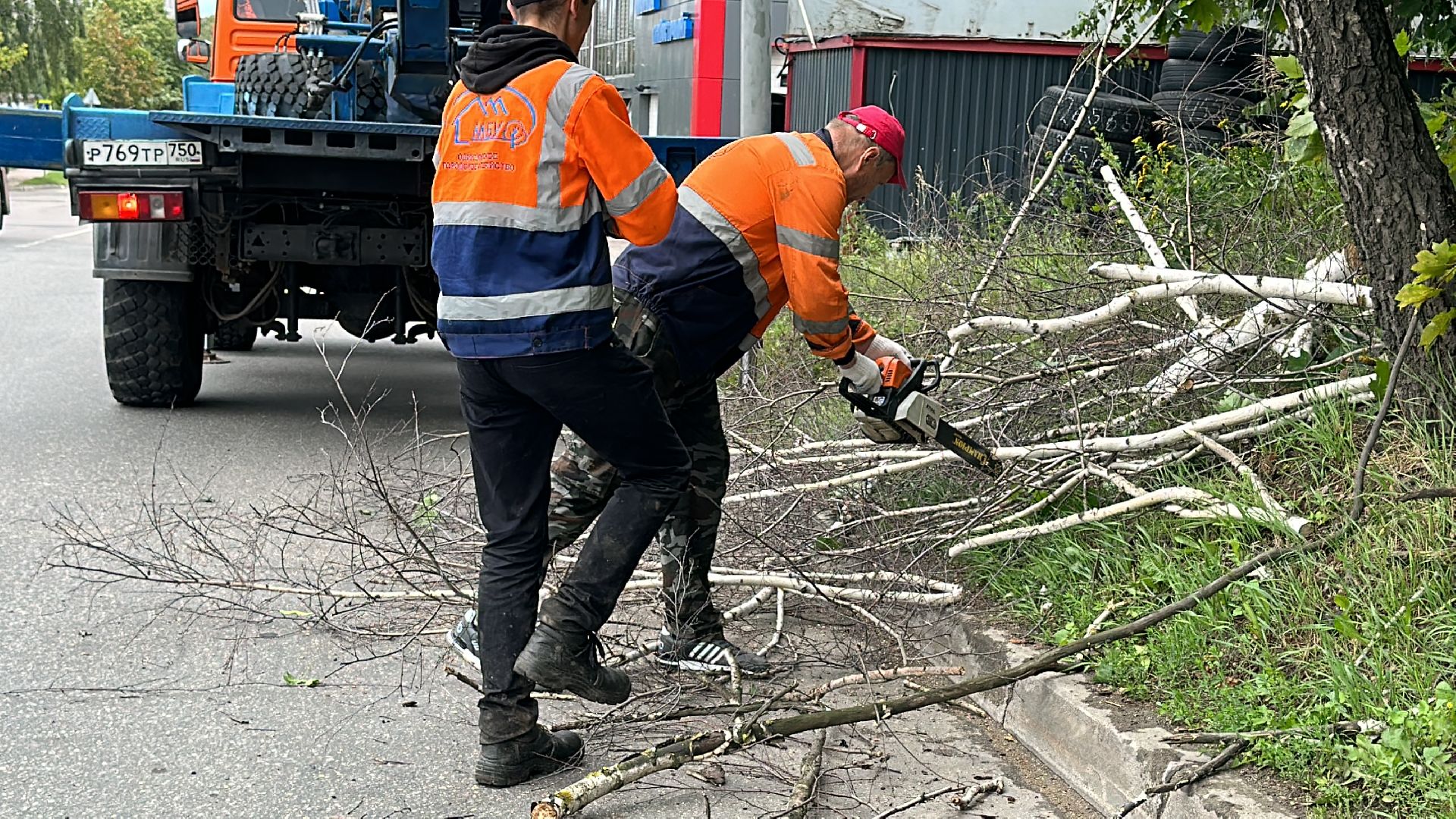 Одинцово, Ураган, Благоустройство, Безопасность