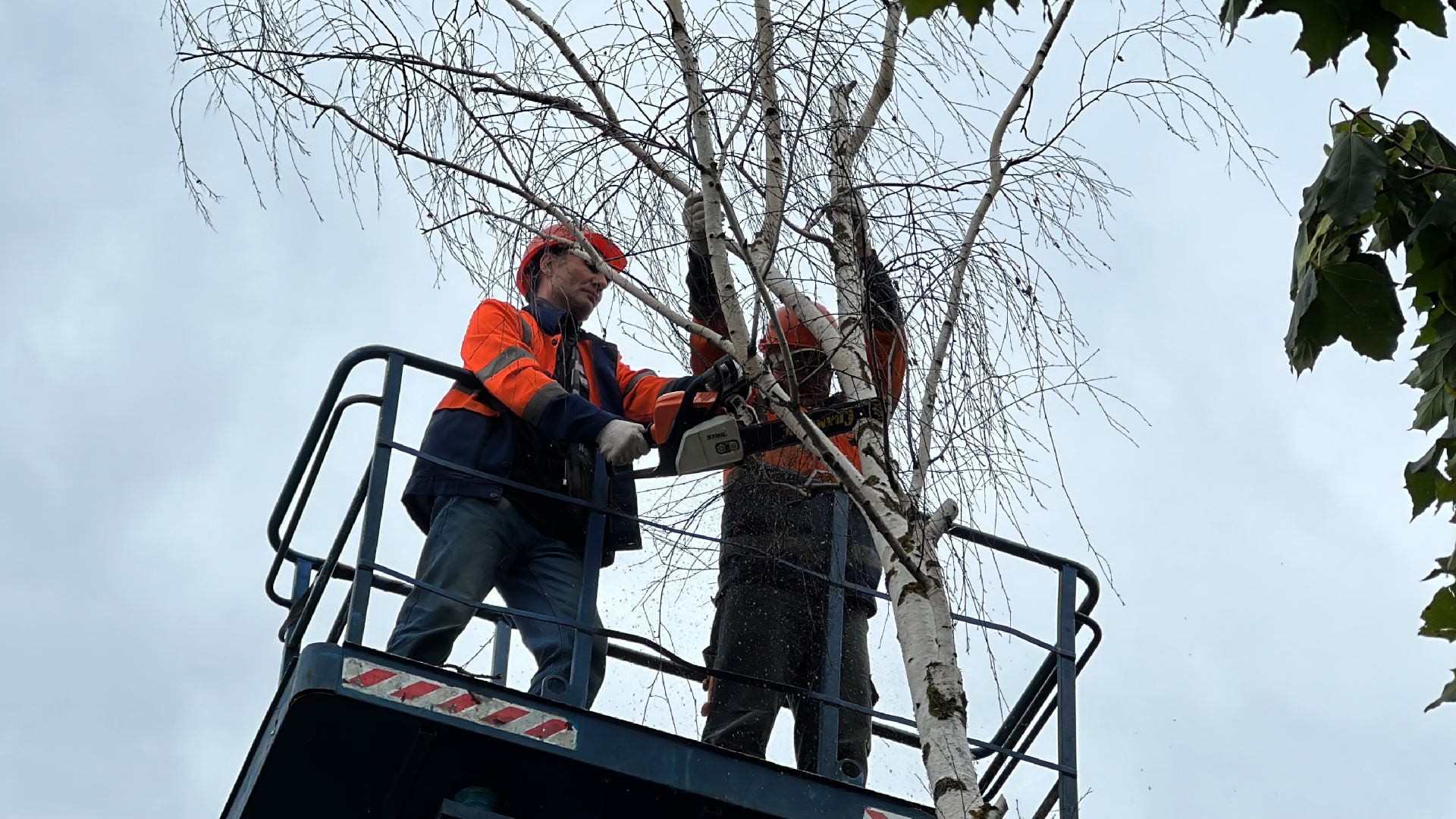 Одинцово, Ураган, Благоустройство, Безопасность