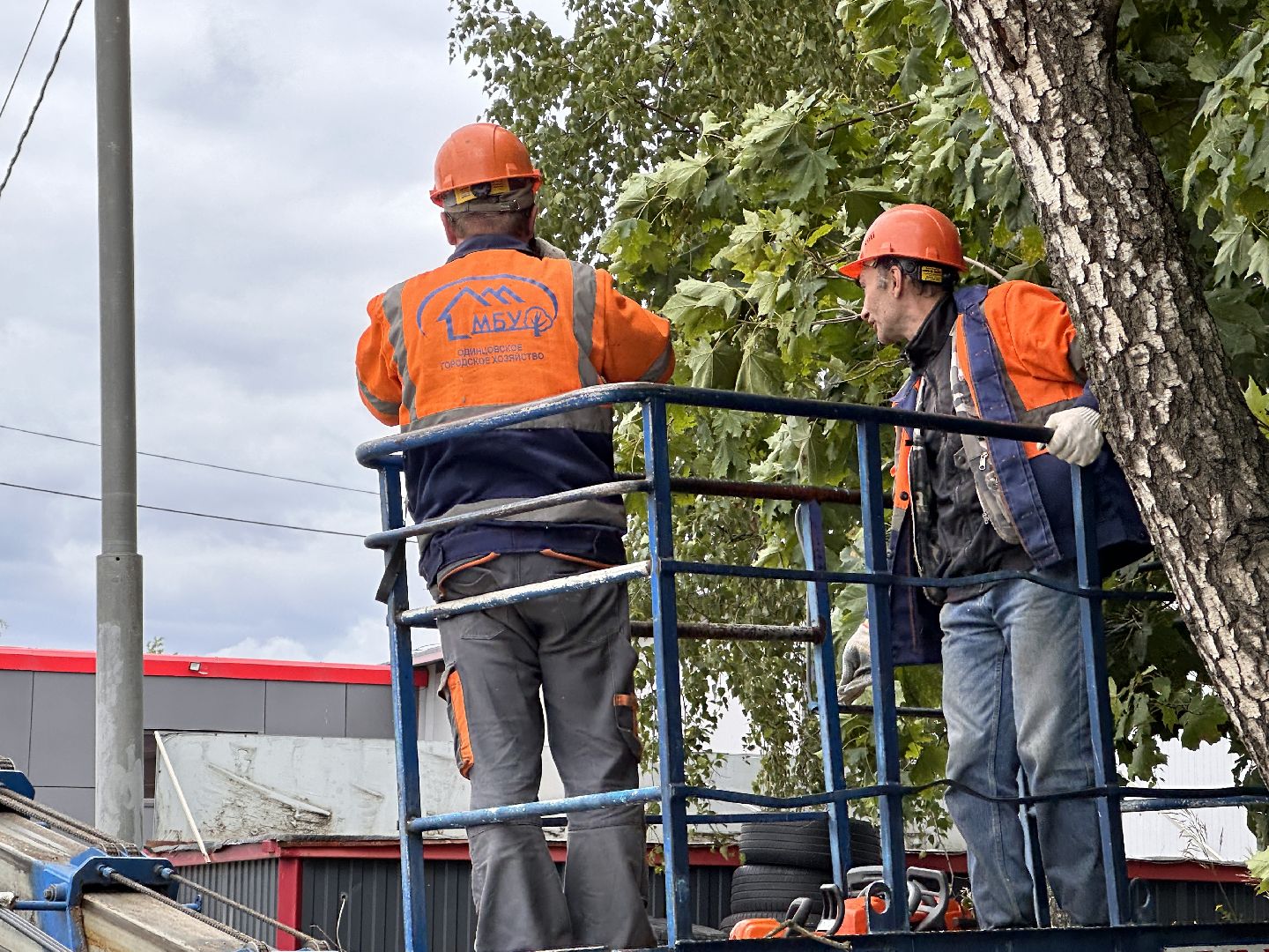 Одинцово, Ураган, Благоустройство, Безопасность