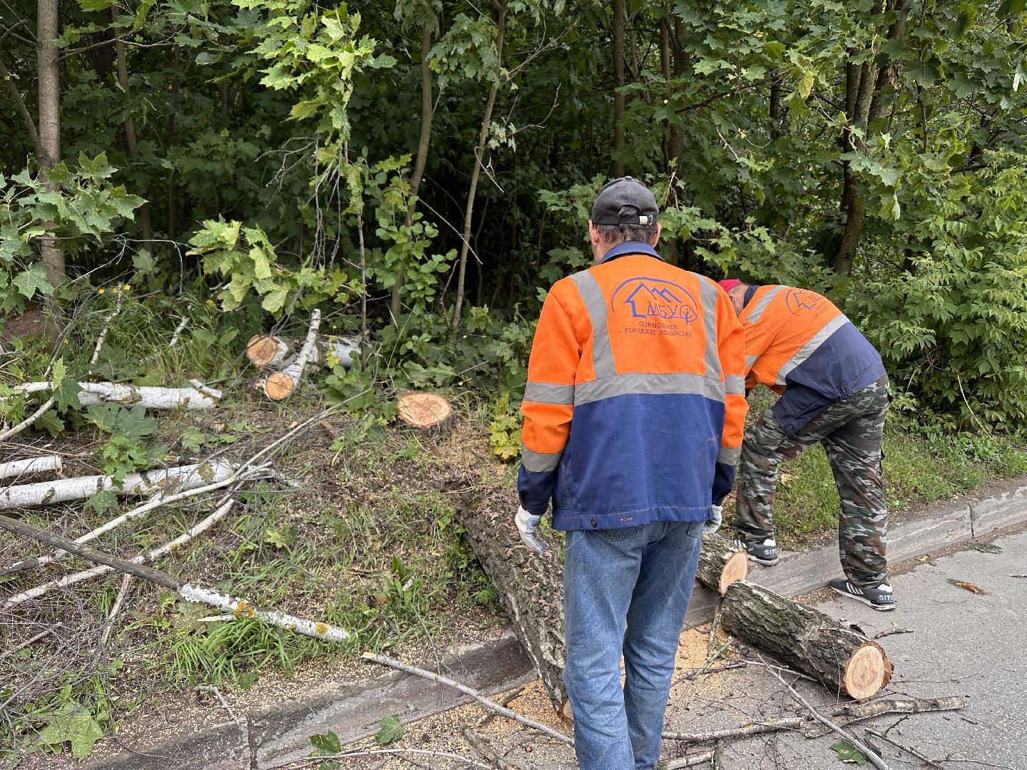 Одинцово, Ураган, Благоустройство, Безопасность