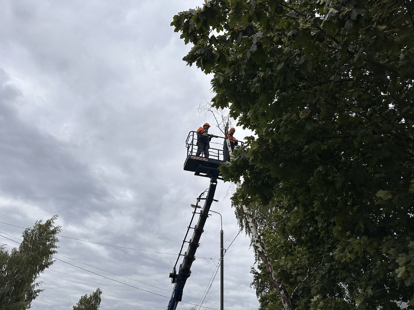 Одинцово, Ураган, Благоустройство, Безопасность