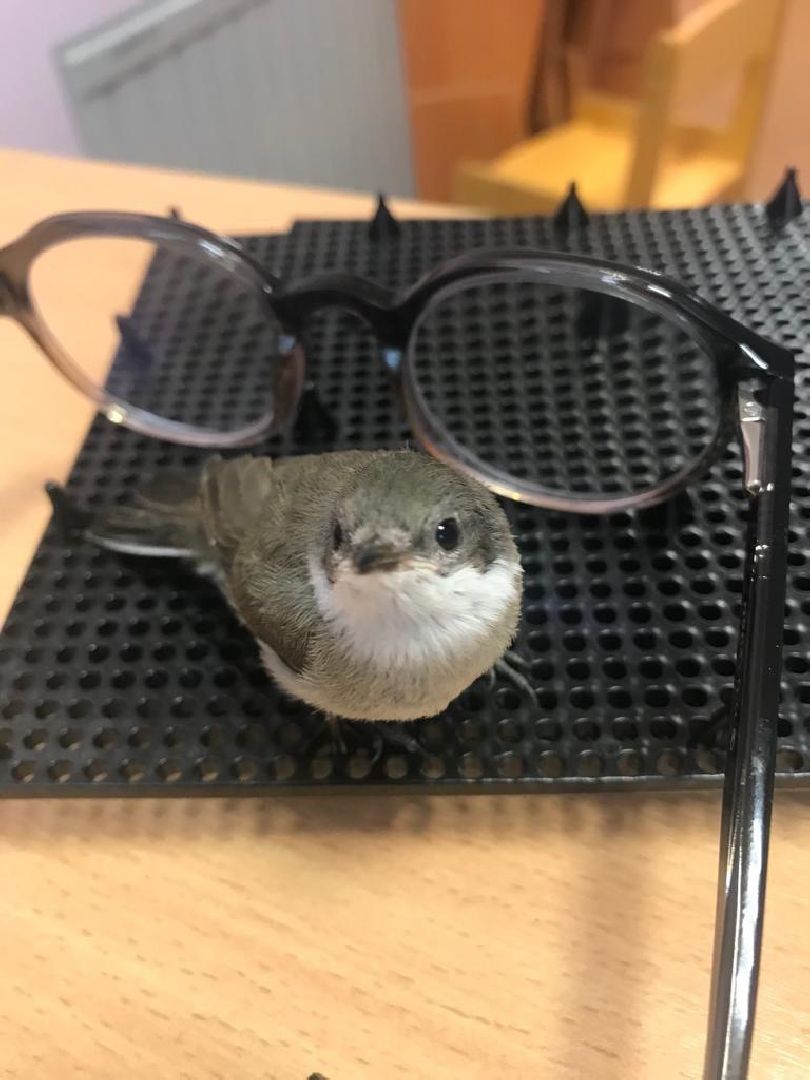 Подмосковье, Ивантеевка, дети