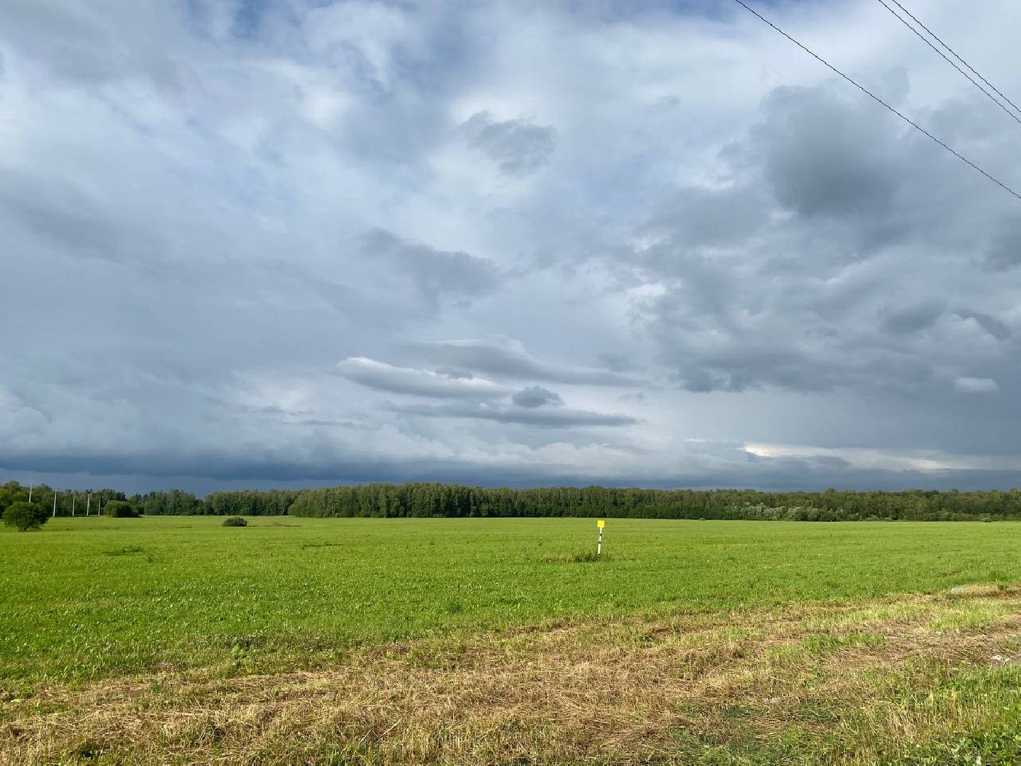 Чехов, благоустройство, фестиваль, подготовка, дорога, парковка