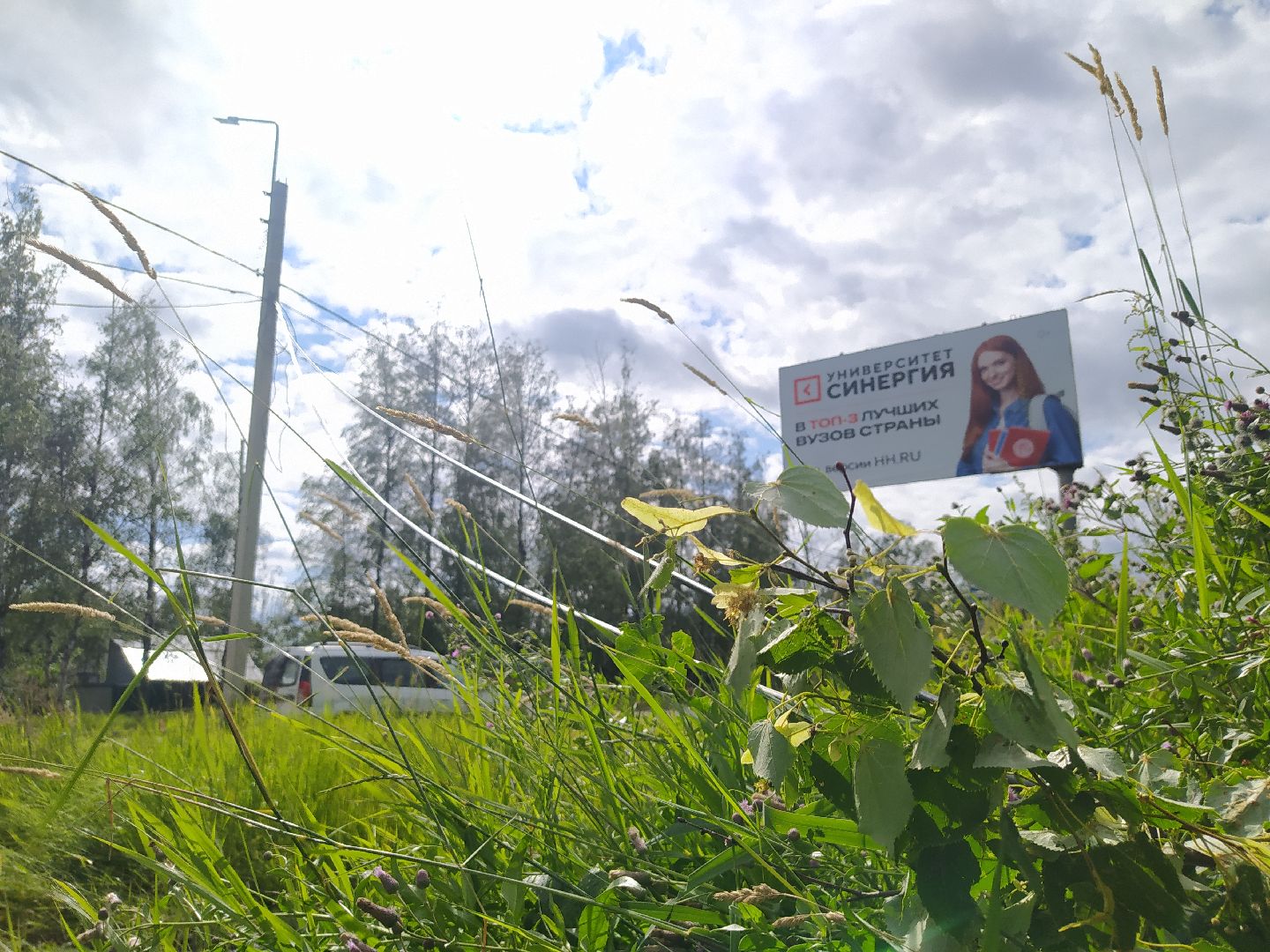 Дедовск, ливень, дождь, ветер, ЛЭП