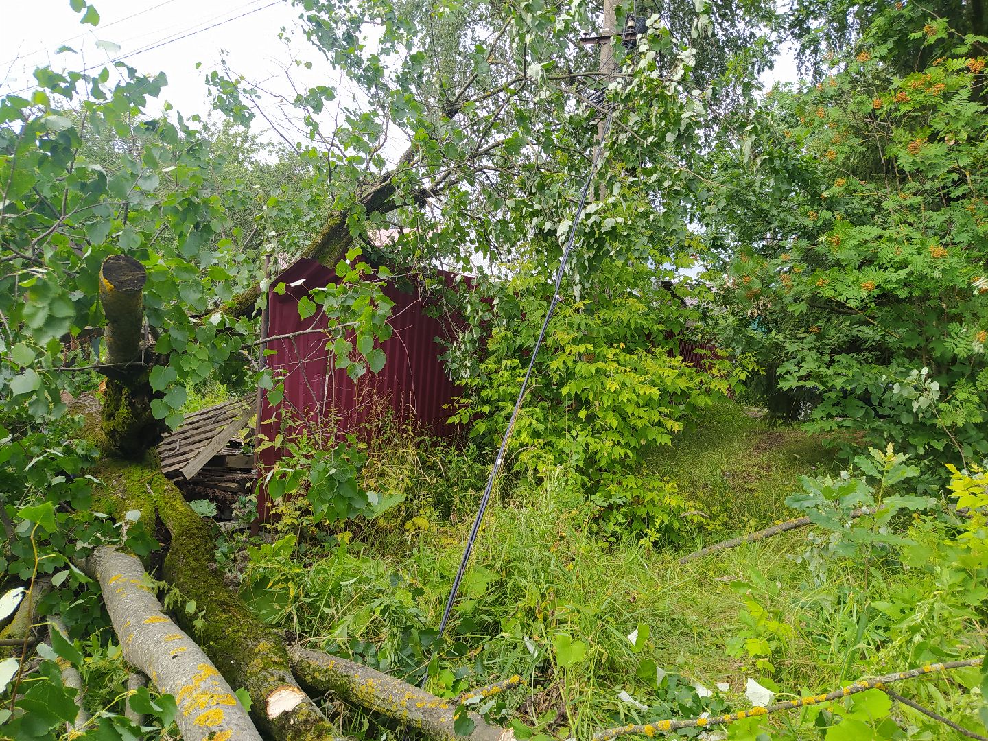 Дедовск, ливень, дождь, ветер, ЛЭП