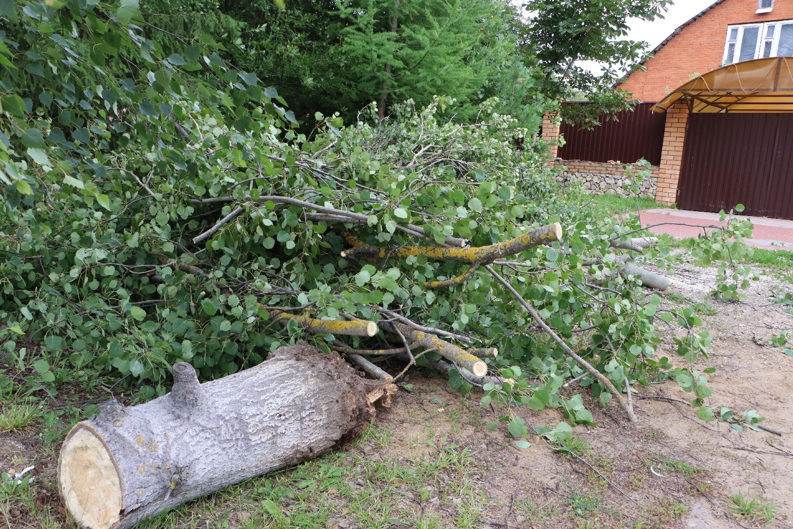 Серебряные Пруды, ликвидация непогоды