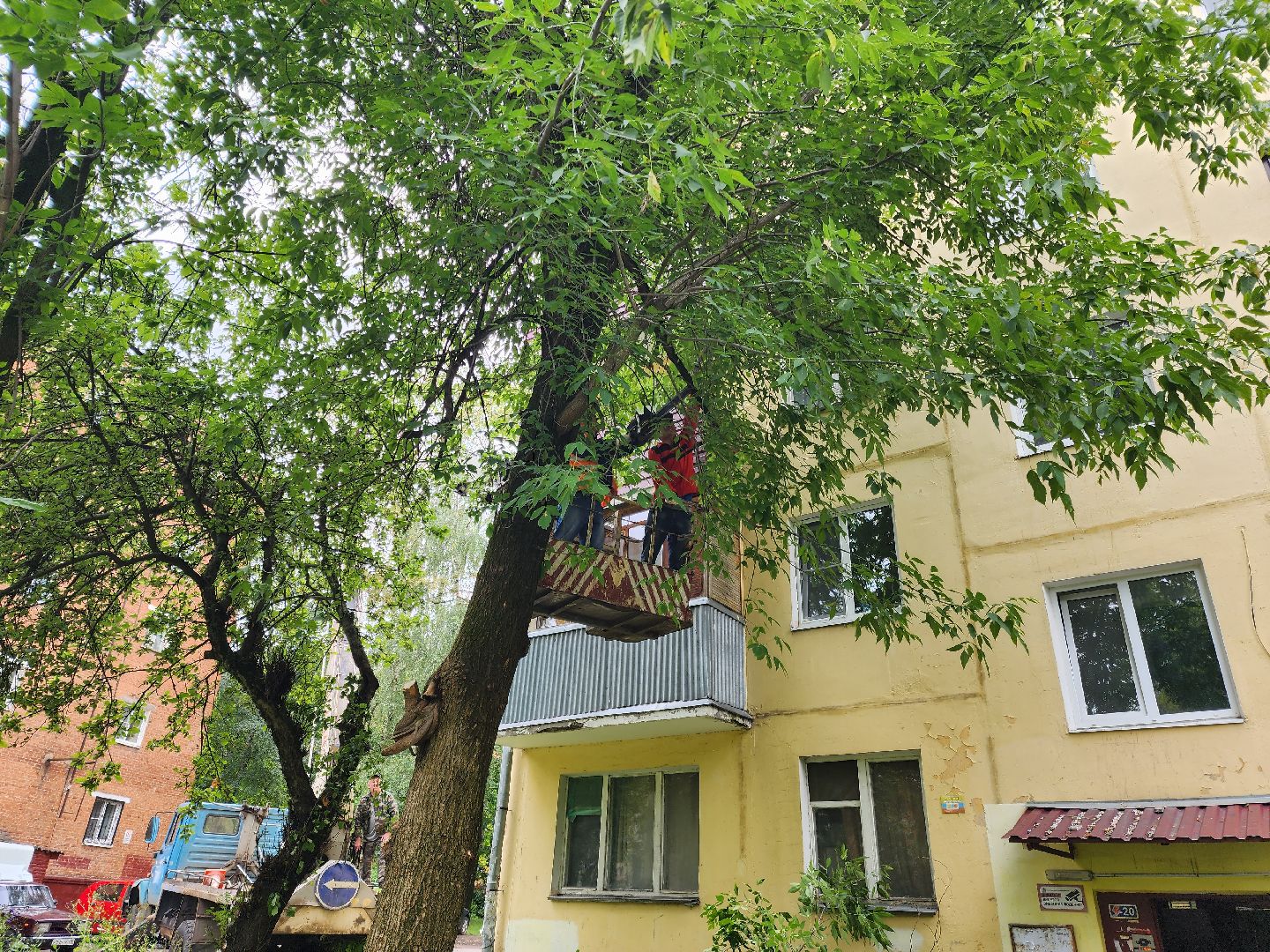 Подольск, опиловка деревьев, кронирование, управляющая компания