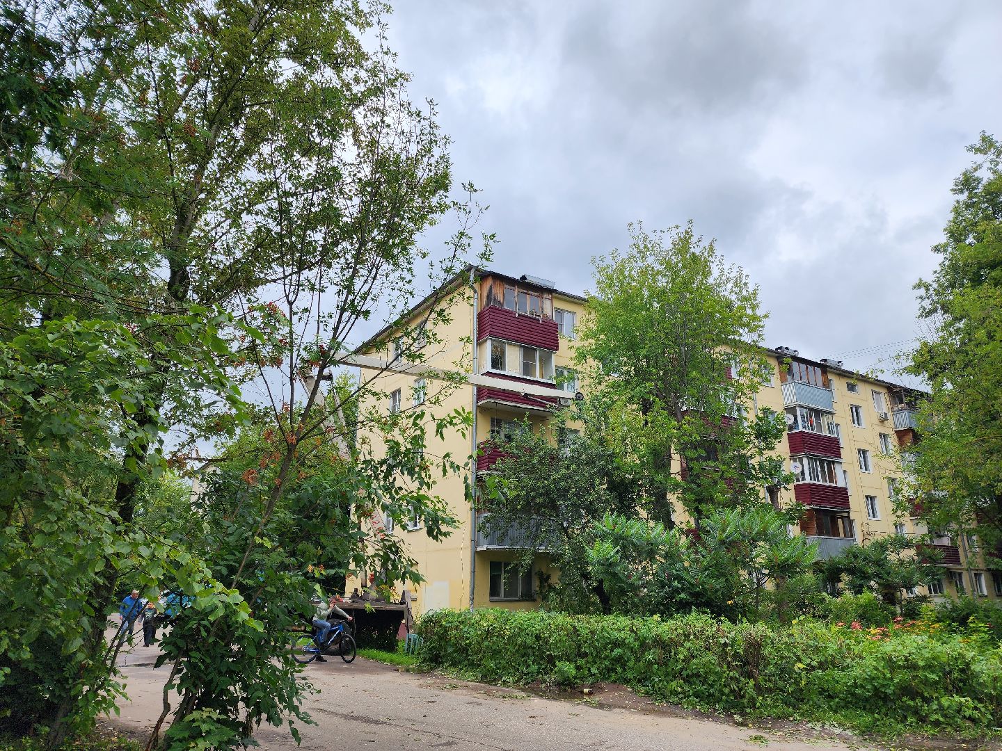 Подольск, опиловка деревьев, кронирование, управляющая компания