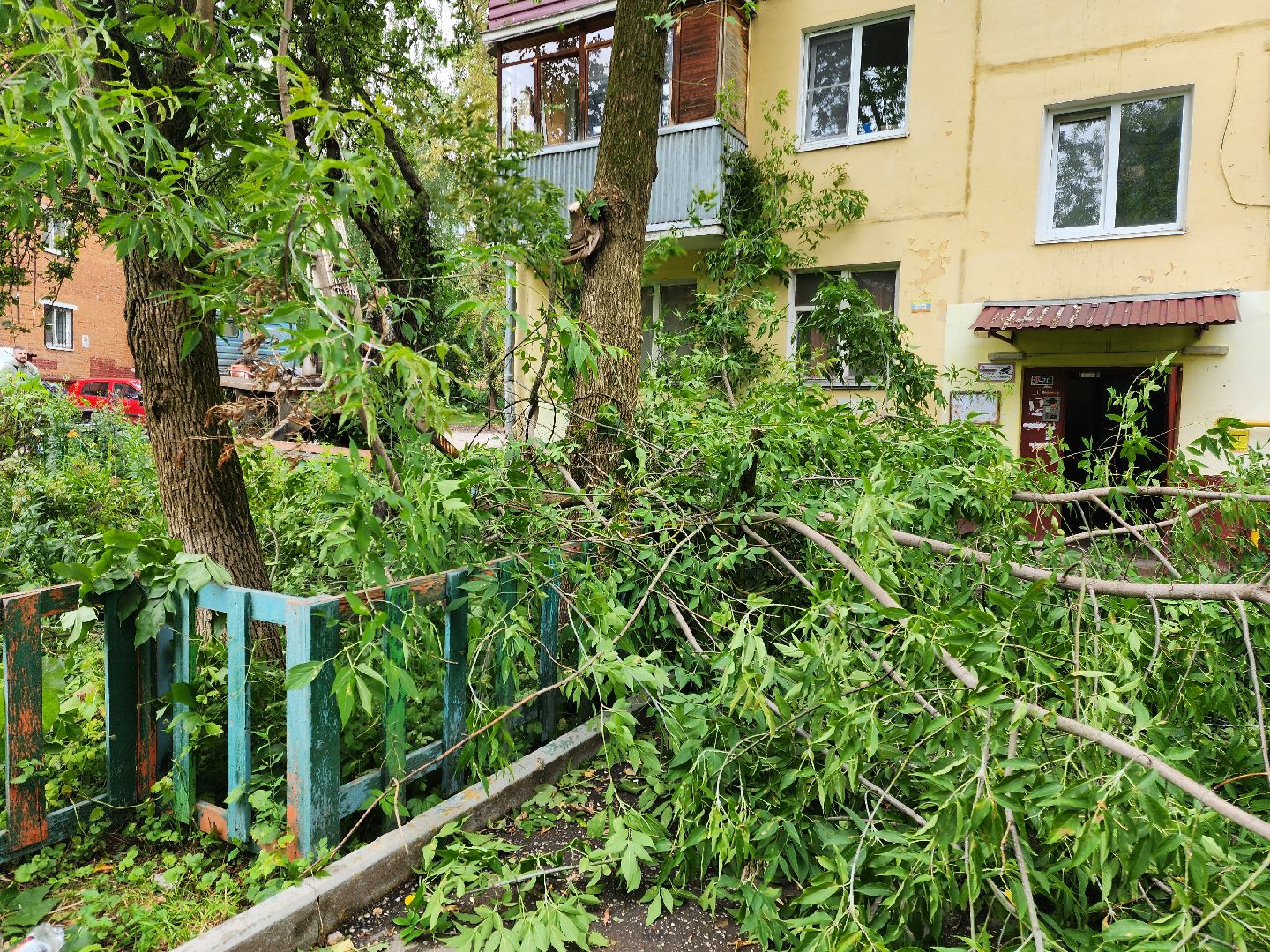 Подольск, опиловка деревьев, кронирование, управляющая компания