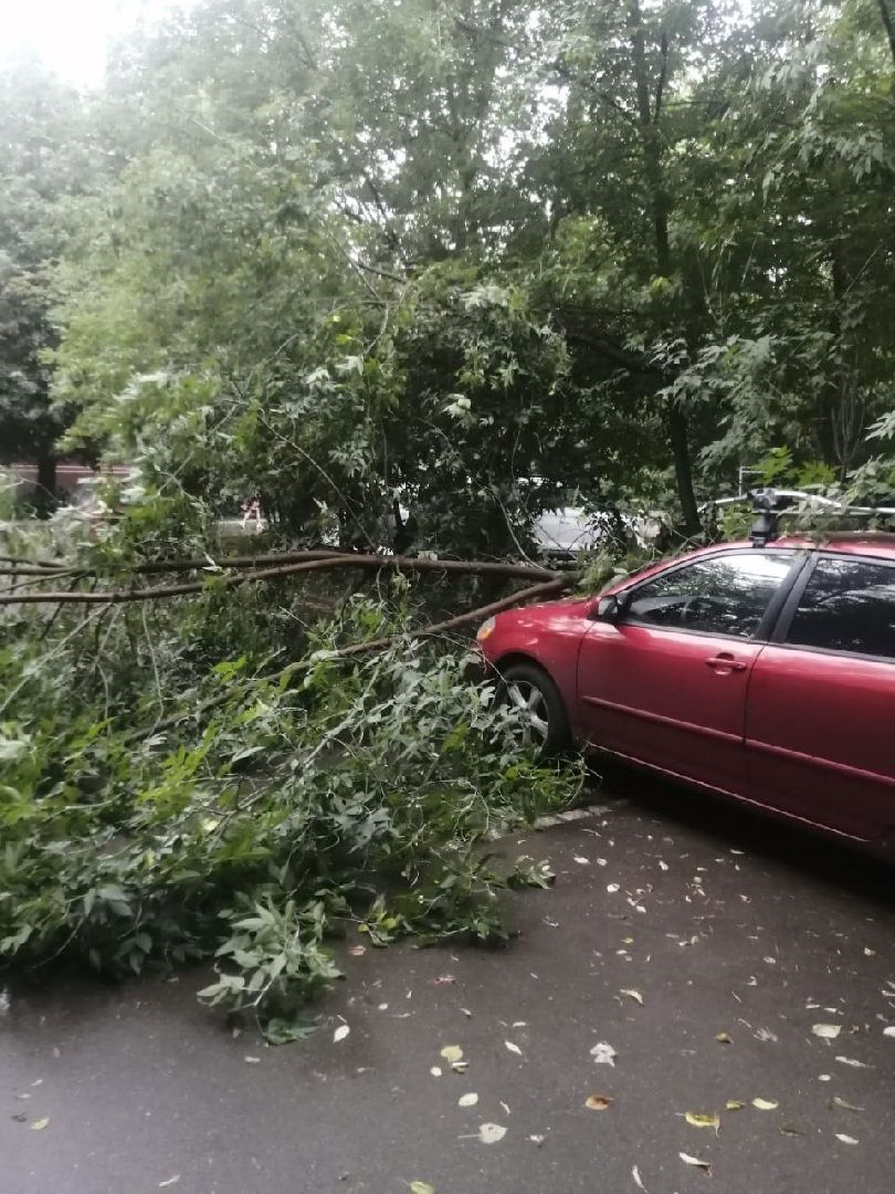 непогода; видное; ливень; шторм