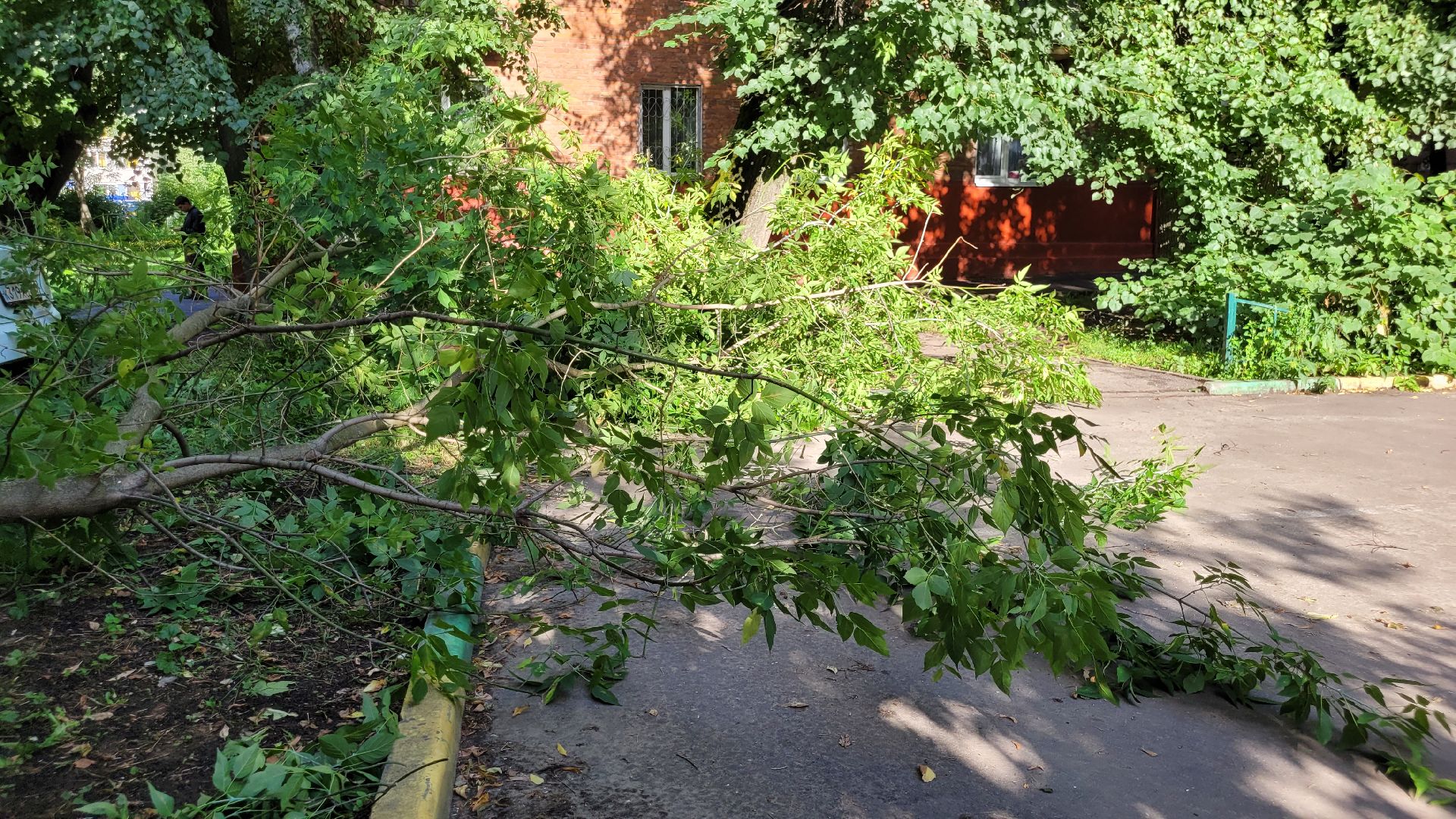 непогода; видное; ливень; шторм