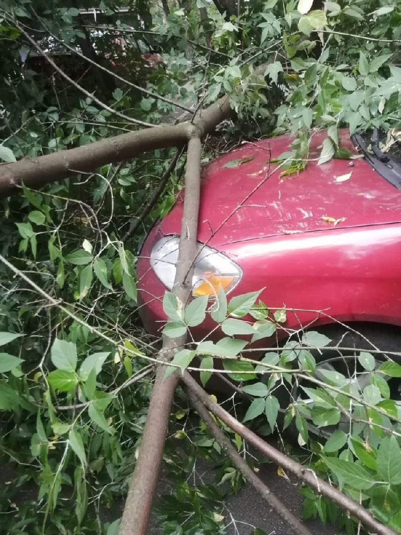 непогода; видное; ливень; шторм