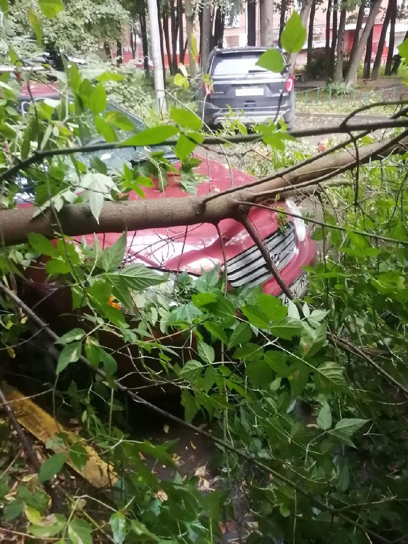 непогода; видное; ливень; шторм