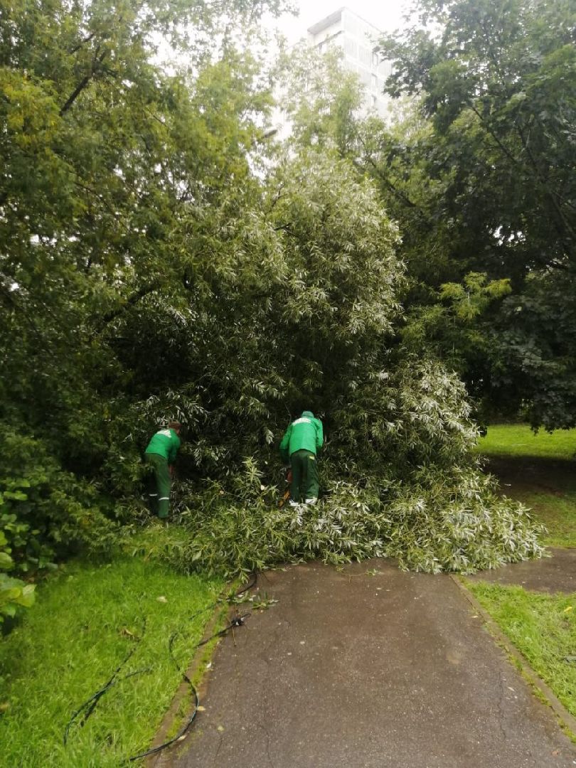 непогода; видное; ливень; шторм