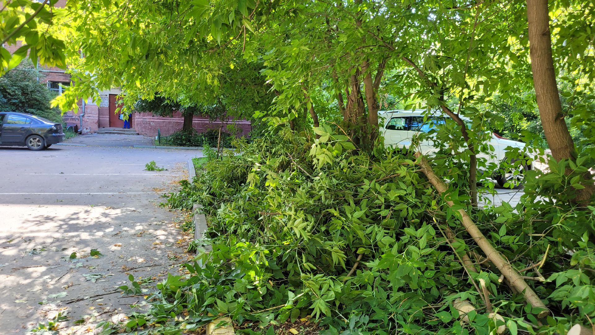 непогода; видное; ливень; шторм