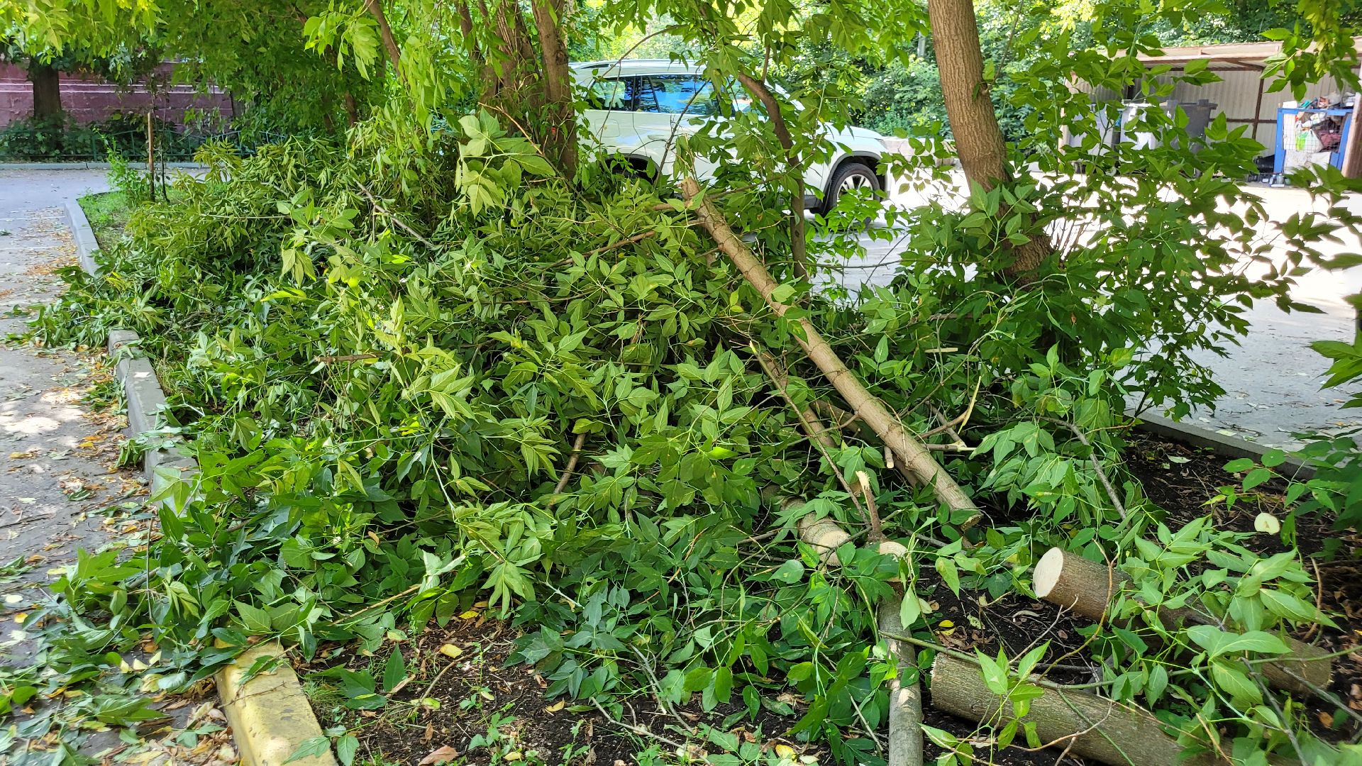 непогода; видное; ливень; шторм