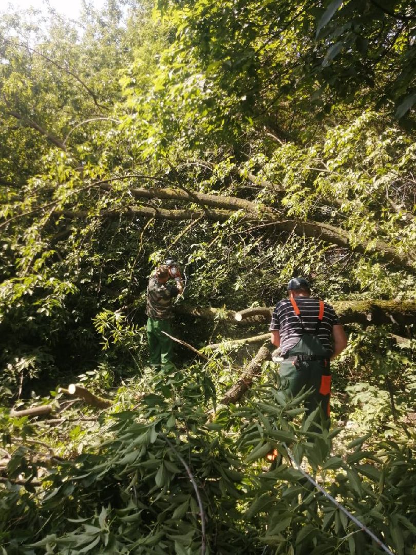 непогода; видное; ливень; шторм
