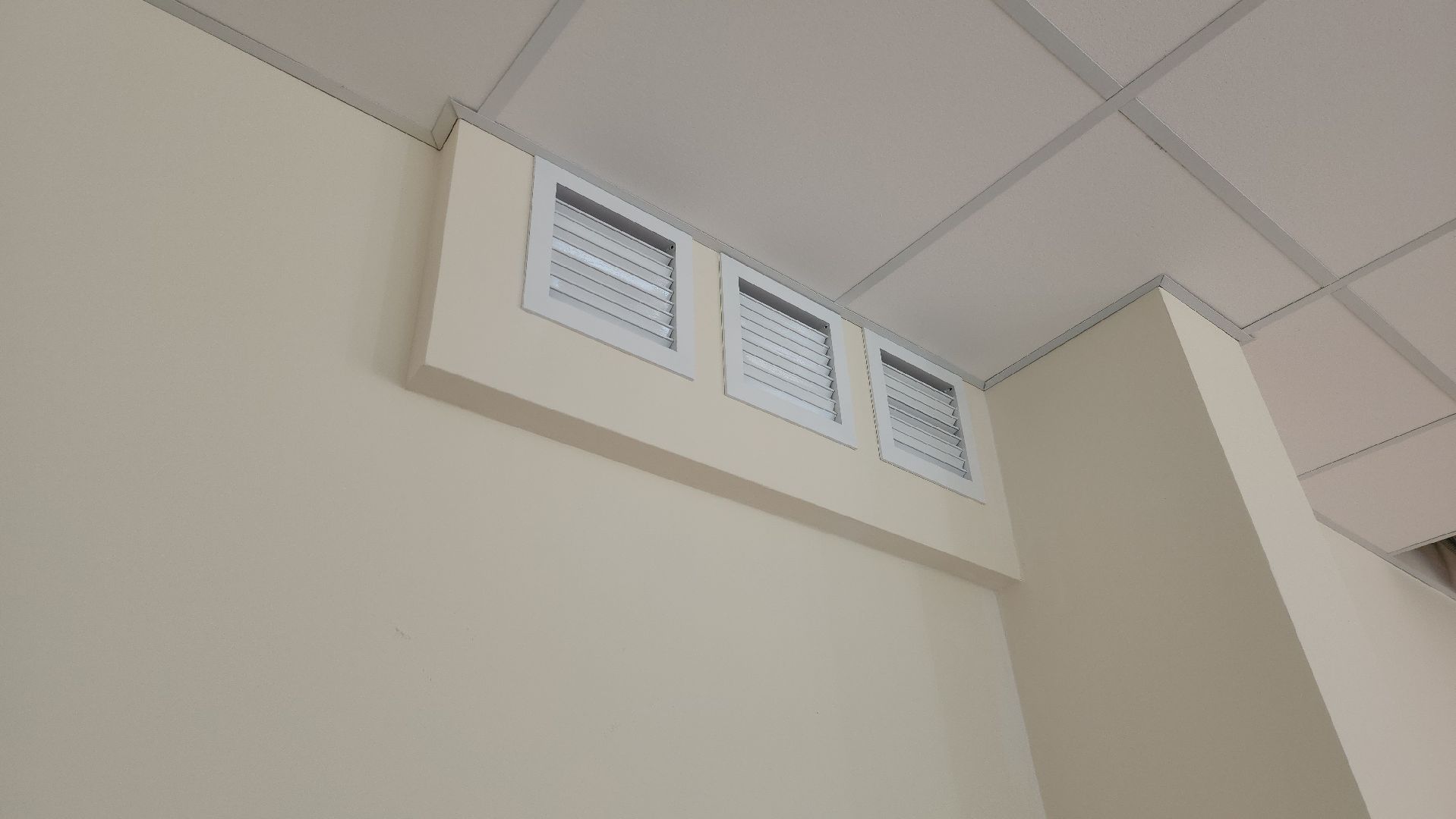 Пушкинский округ, Красноармейск, ремонт школы