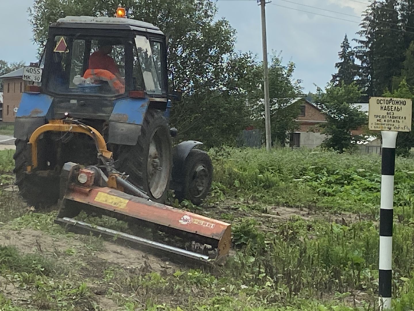 борщевик, истра