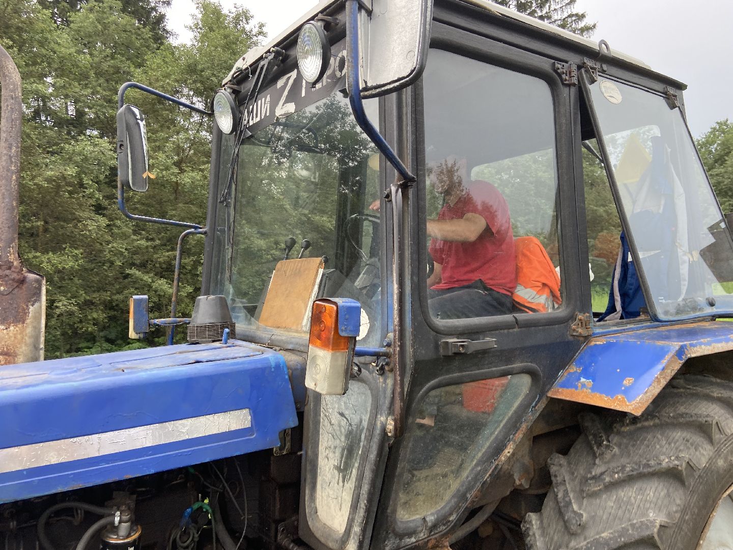 борщевик, истра