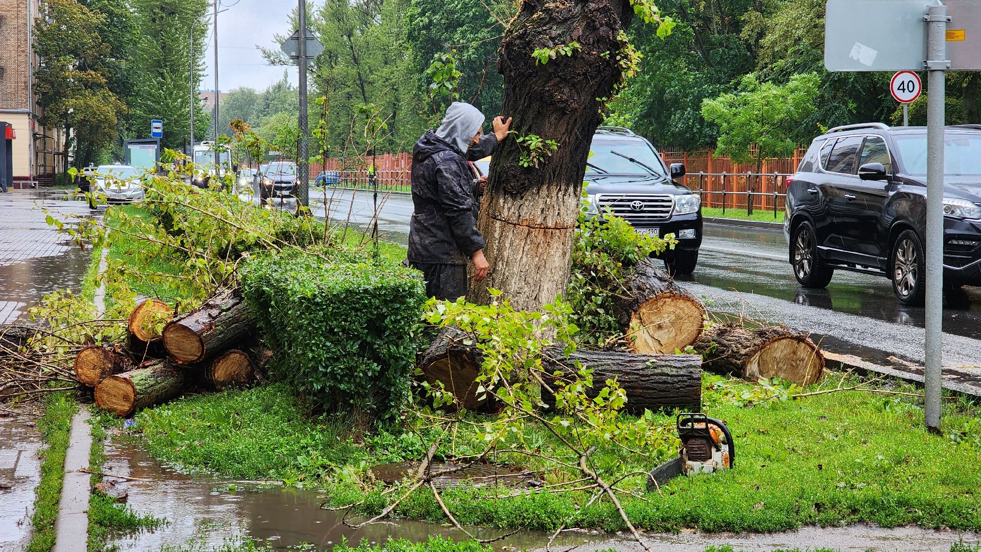 коммунальщики, благоустройство, опиловка,