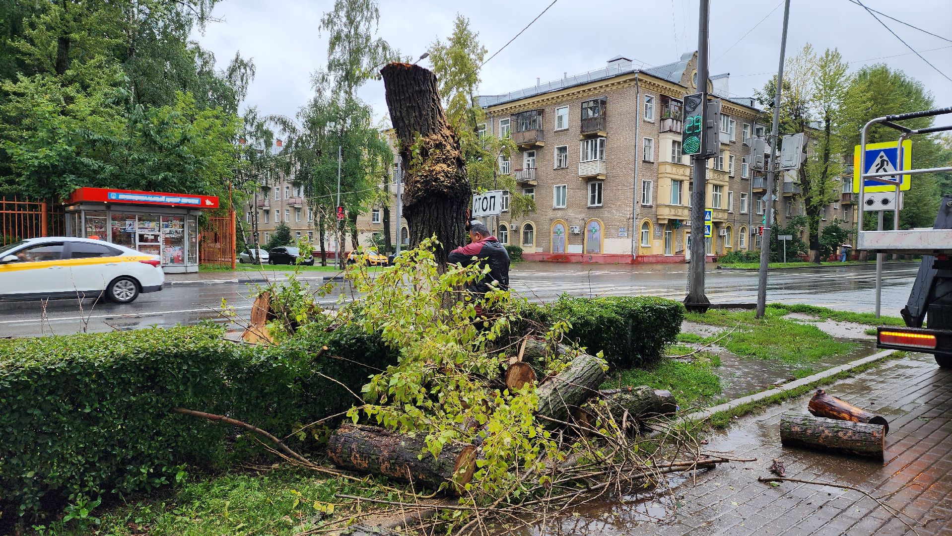 коммунальщики, благоустройство, опиловка,