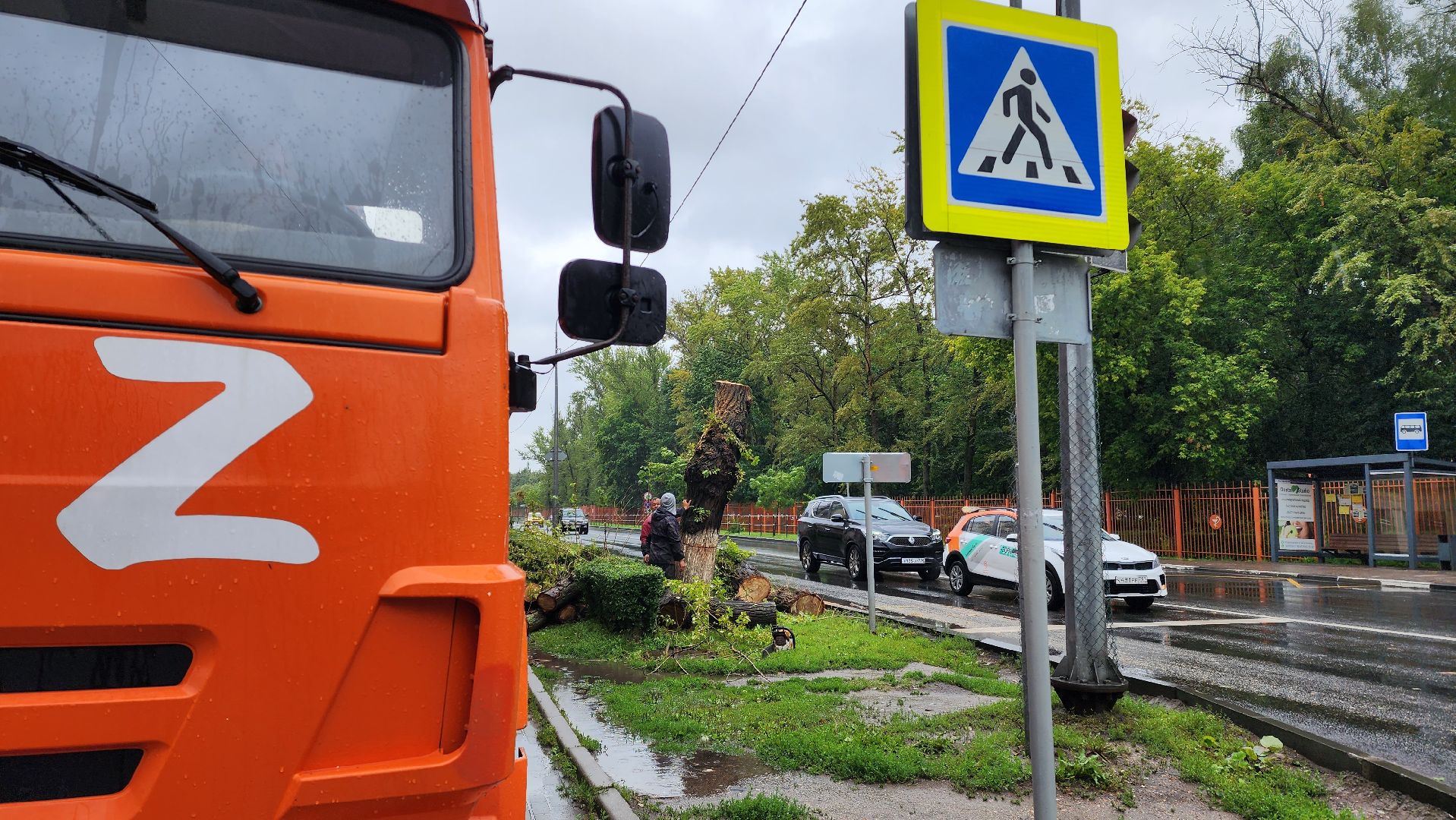 коммунальщики, благоустройство, опиловка,