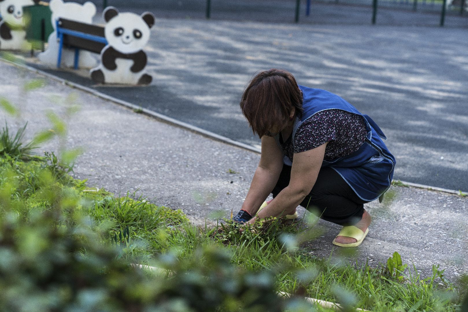 Михаил Ежокин, Домодедово - парк